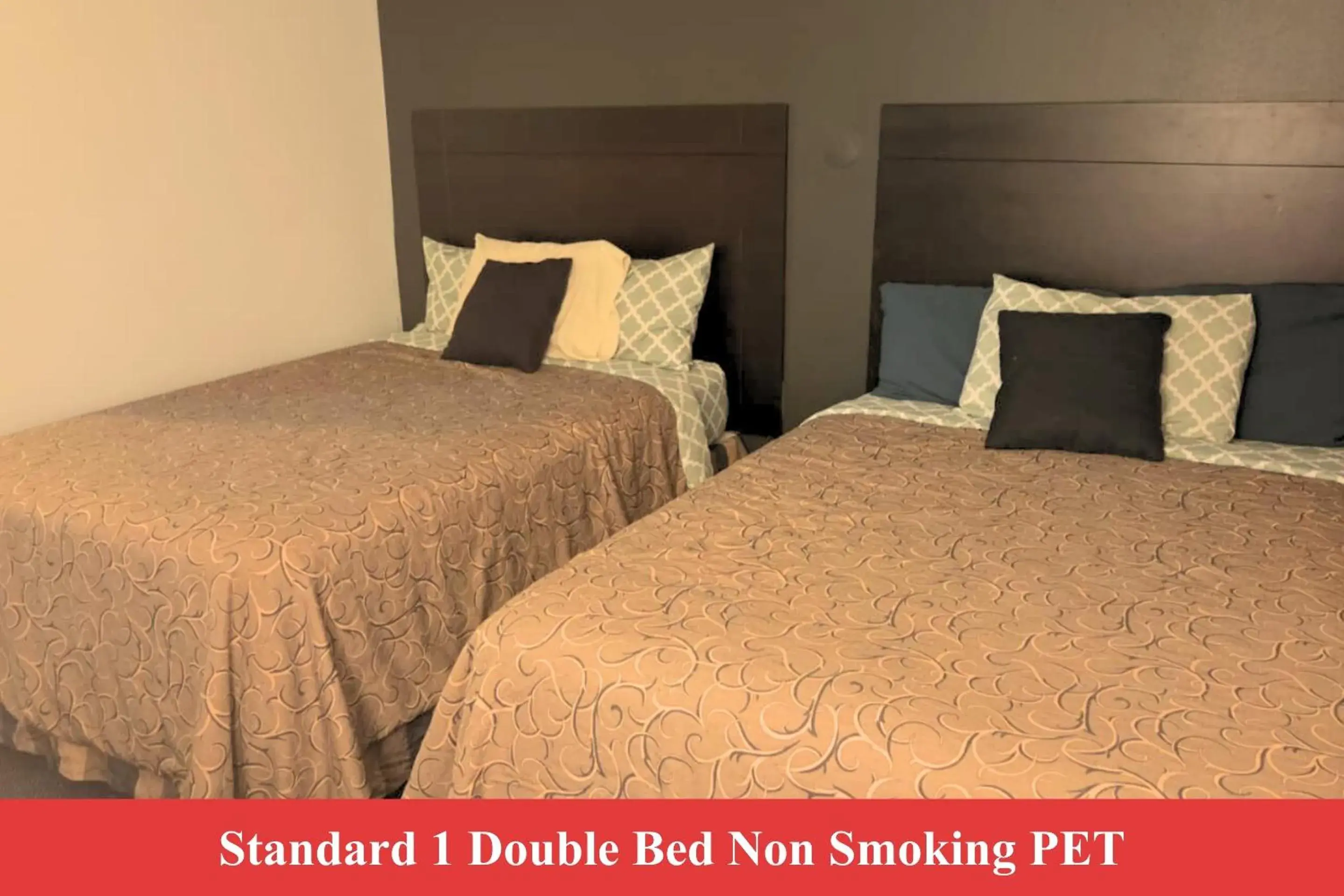 Standard Double Room in Blue Way Inn by Jasper Hutchinson Standard Double Room in Blue Way Inn by Jasper Hutchinson