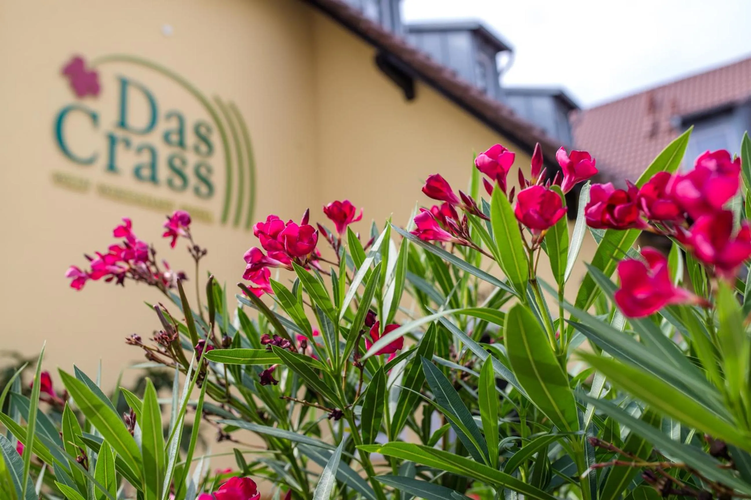 Facade/entrance in Das Crass