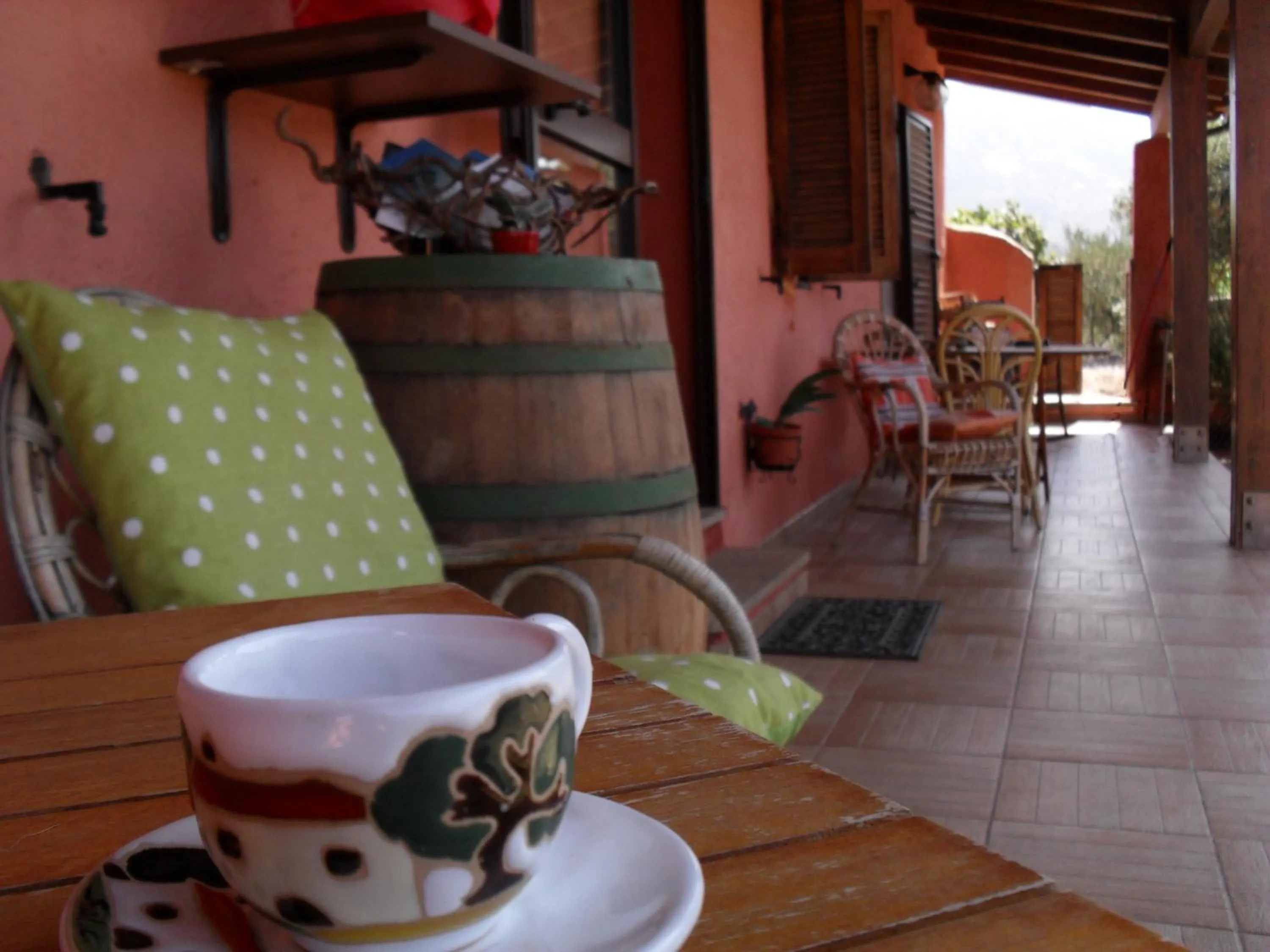 Area and facilities in Il Vigneto B&B