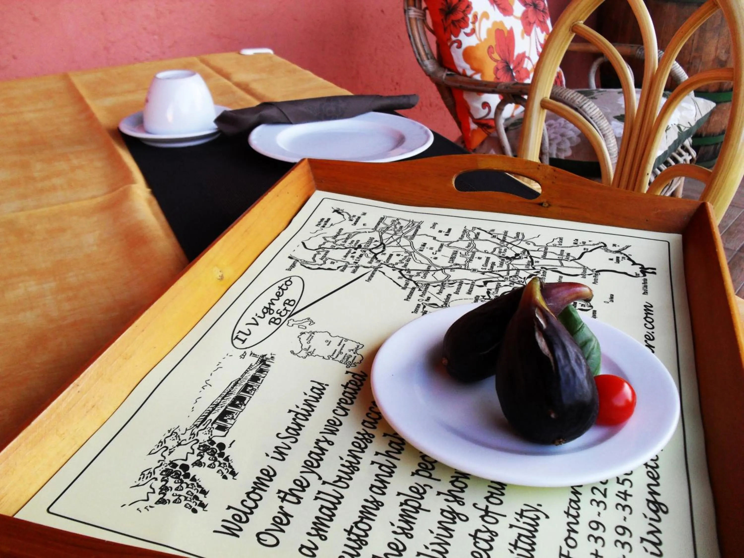 Area and facilities in Il Vigneto B&B