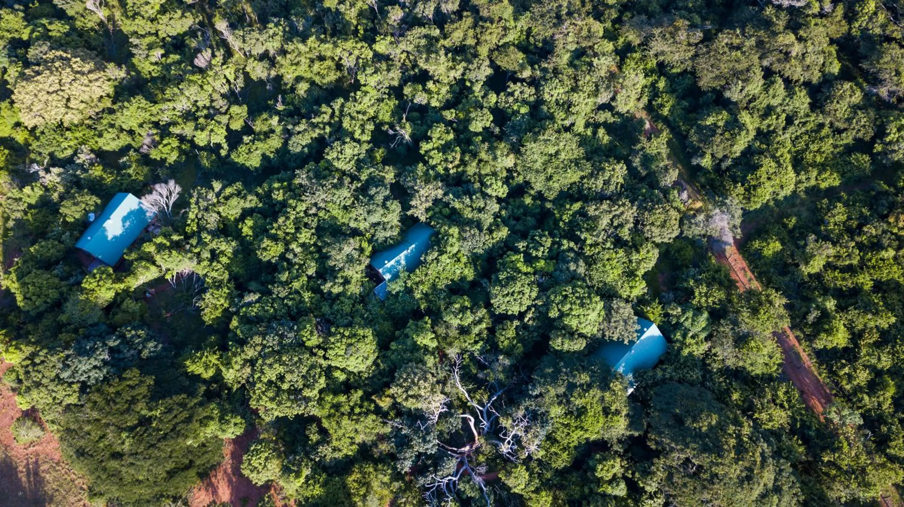 Natural landscape in Leopard Walk Lodge