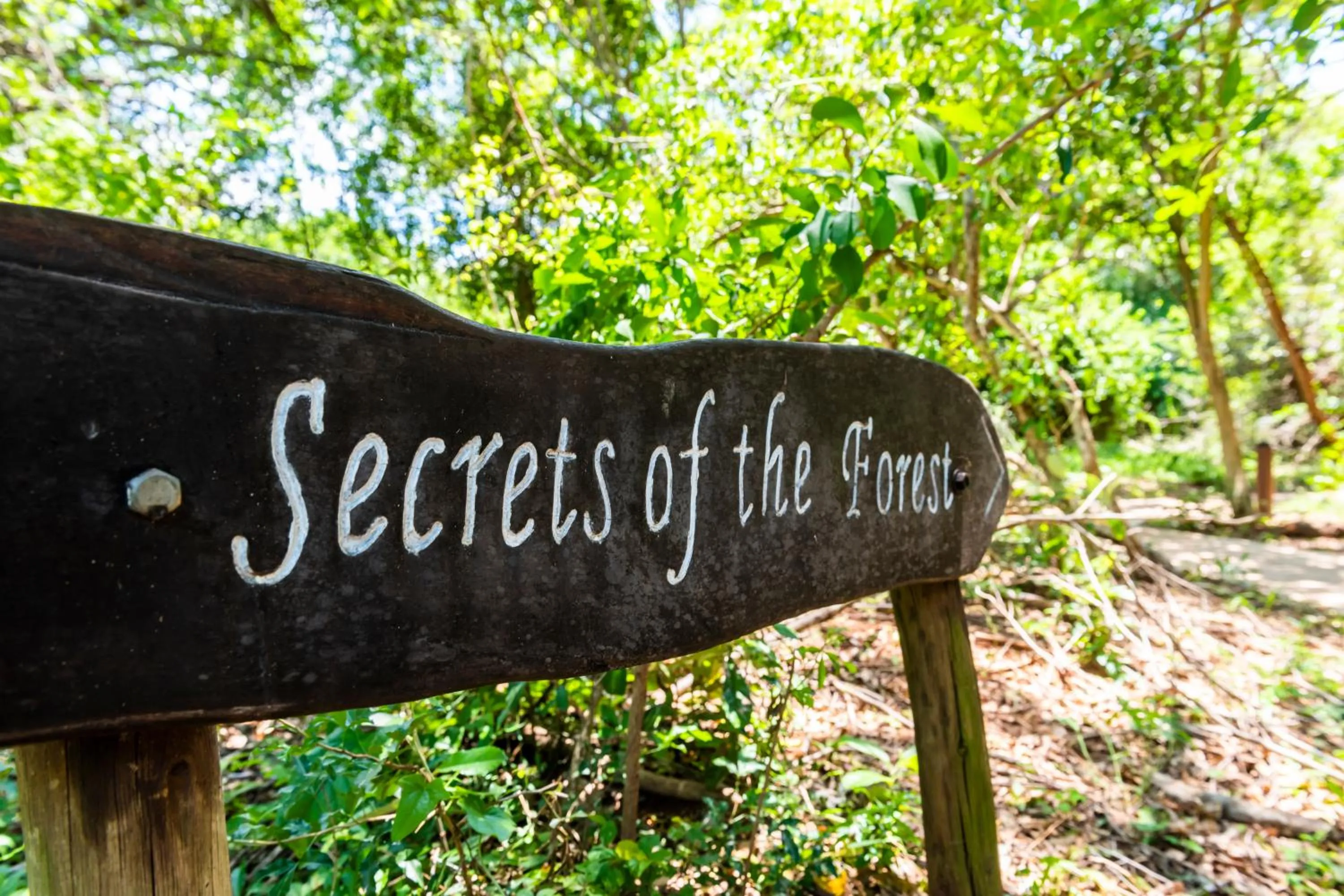 Property logo or sign in Leopard Walk Lodge