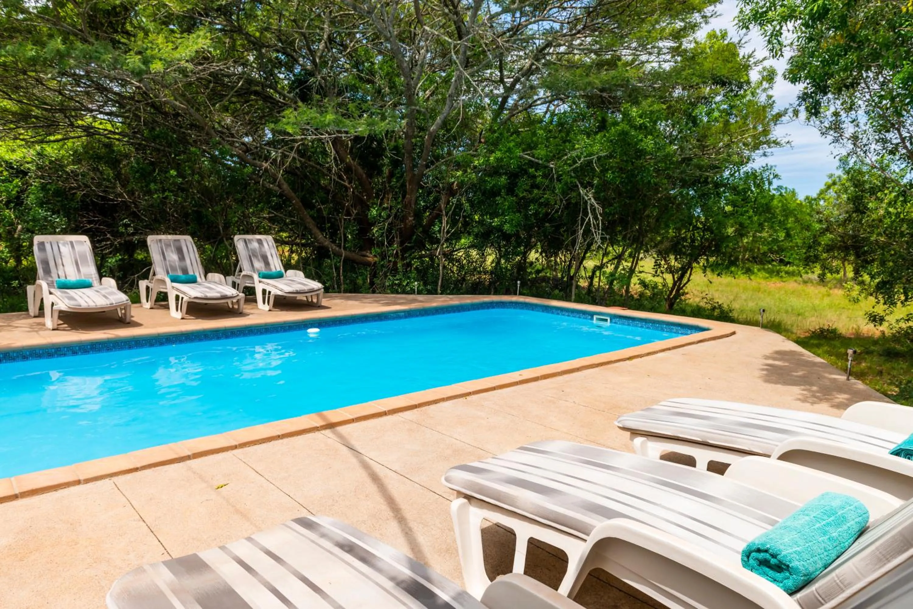 Pool view in Leopard Walk Lodge