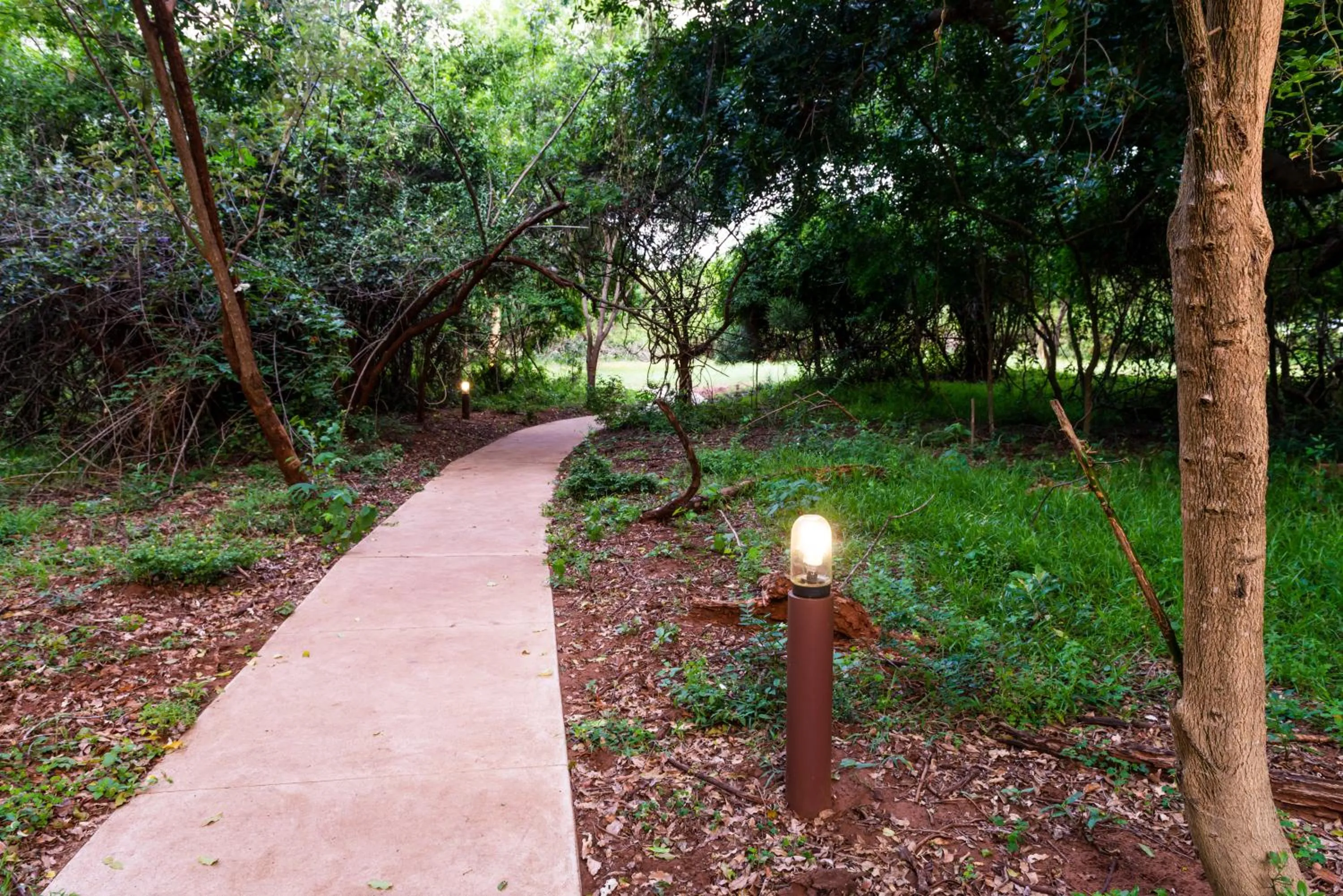 Natural landscape in Leopard Walk Lodge