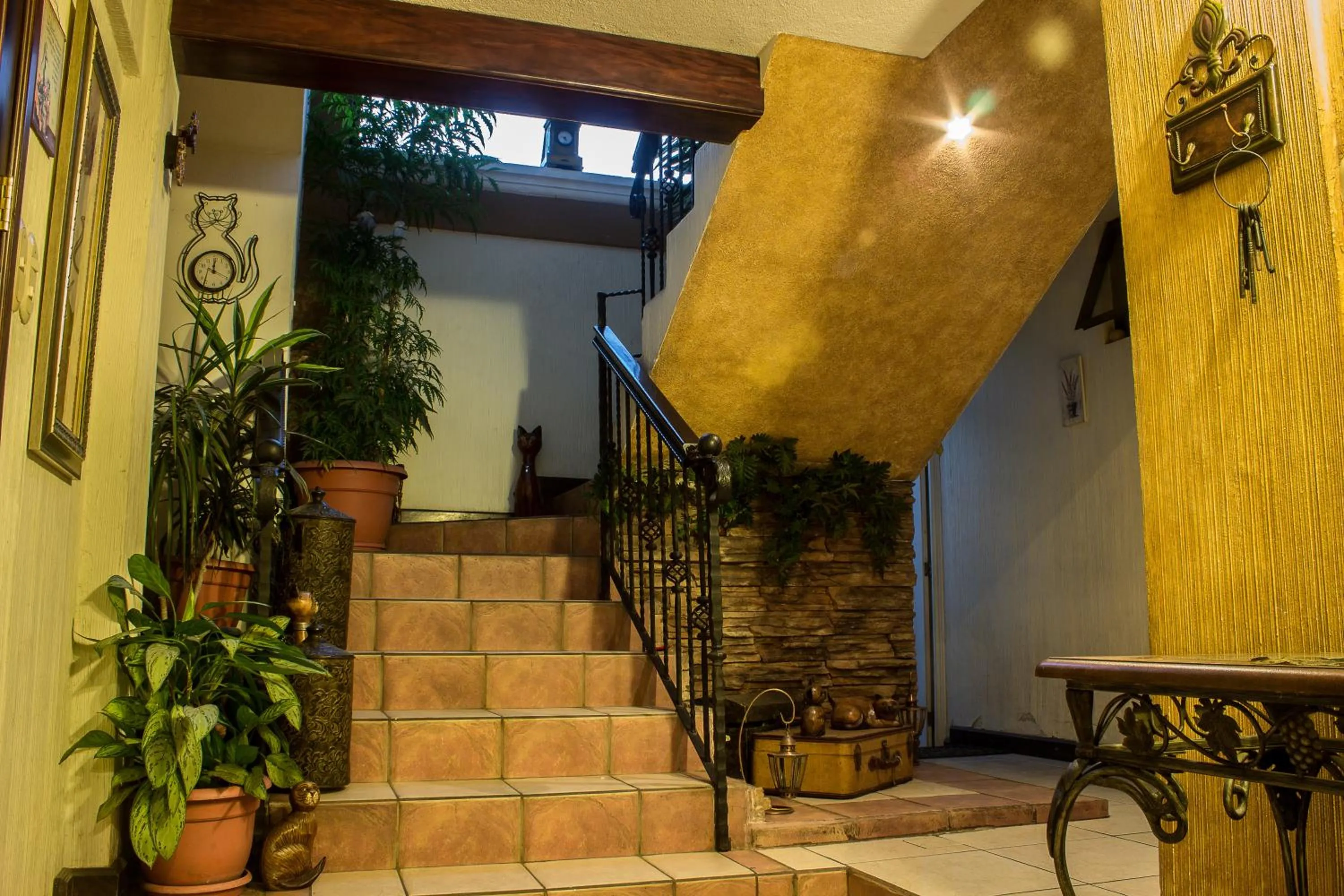 Mi casa, tu casa