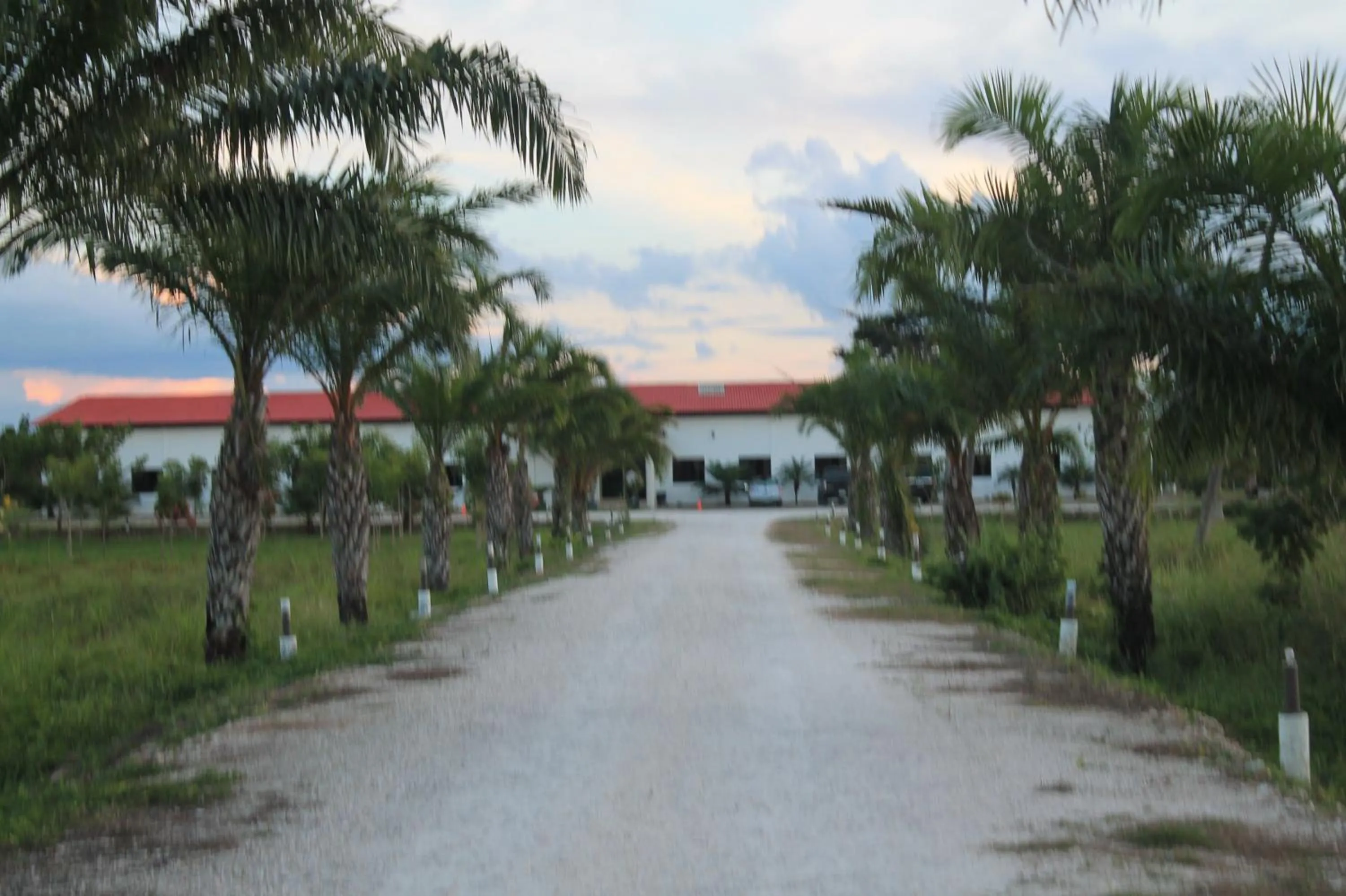 Real Primaveras Campestre