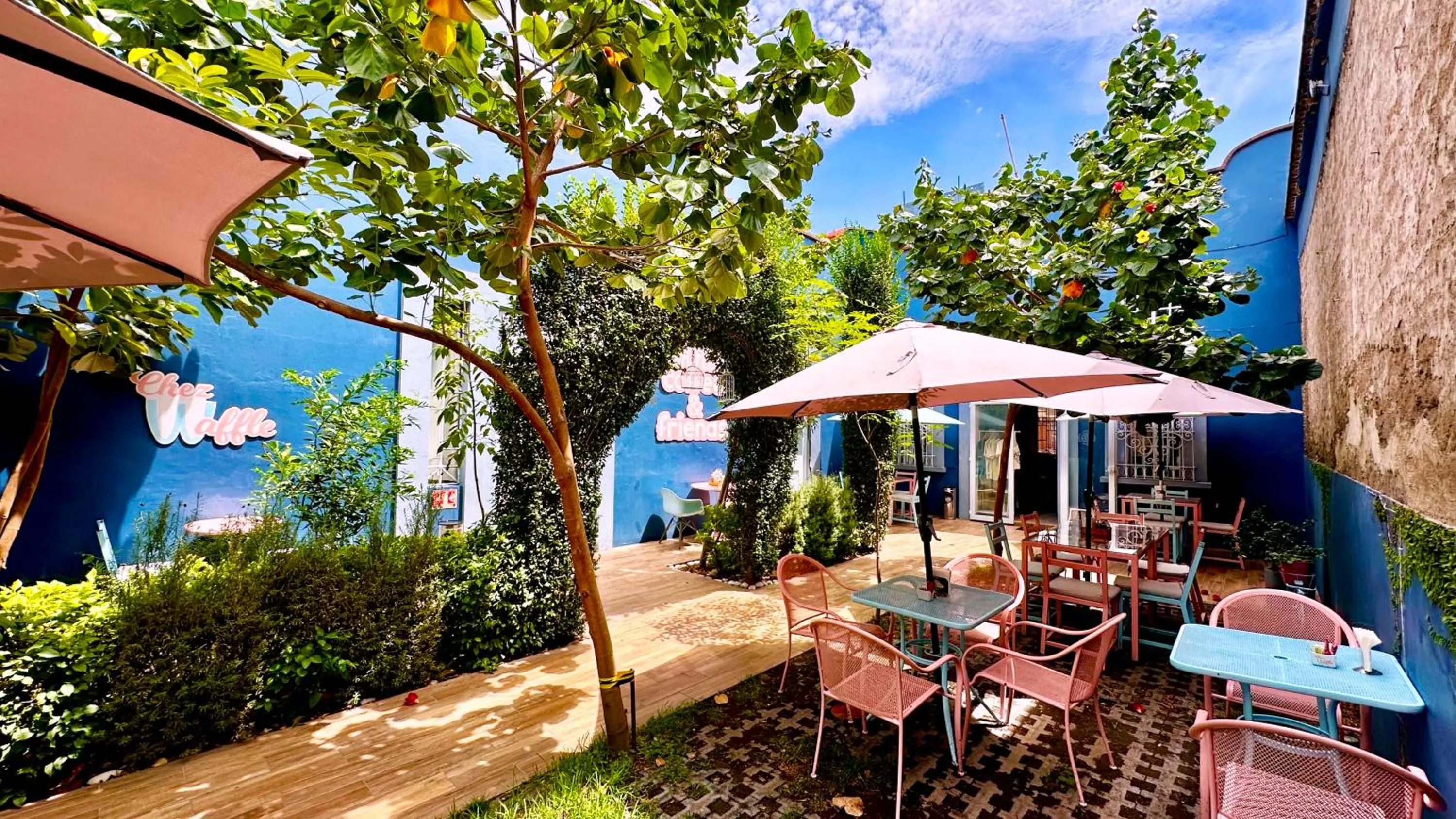 Garden in Xoxula by Inmense