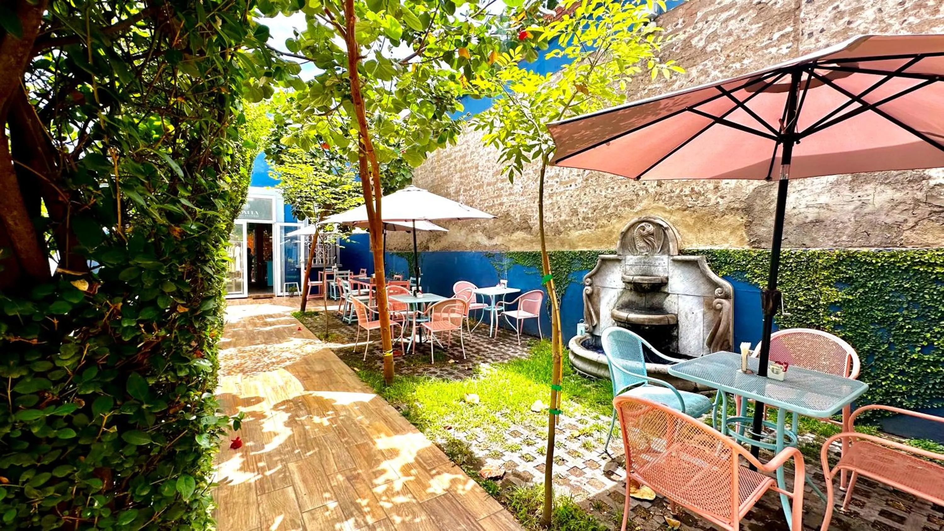 Garden in Xoxula by Inmense