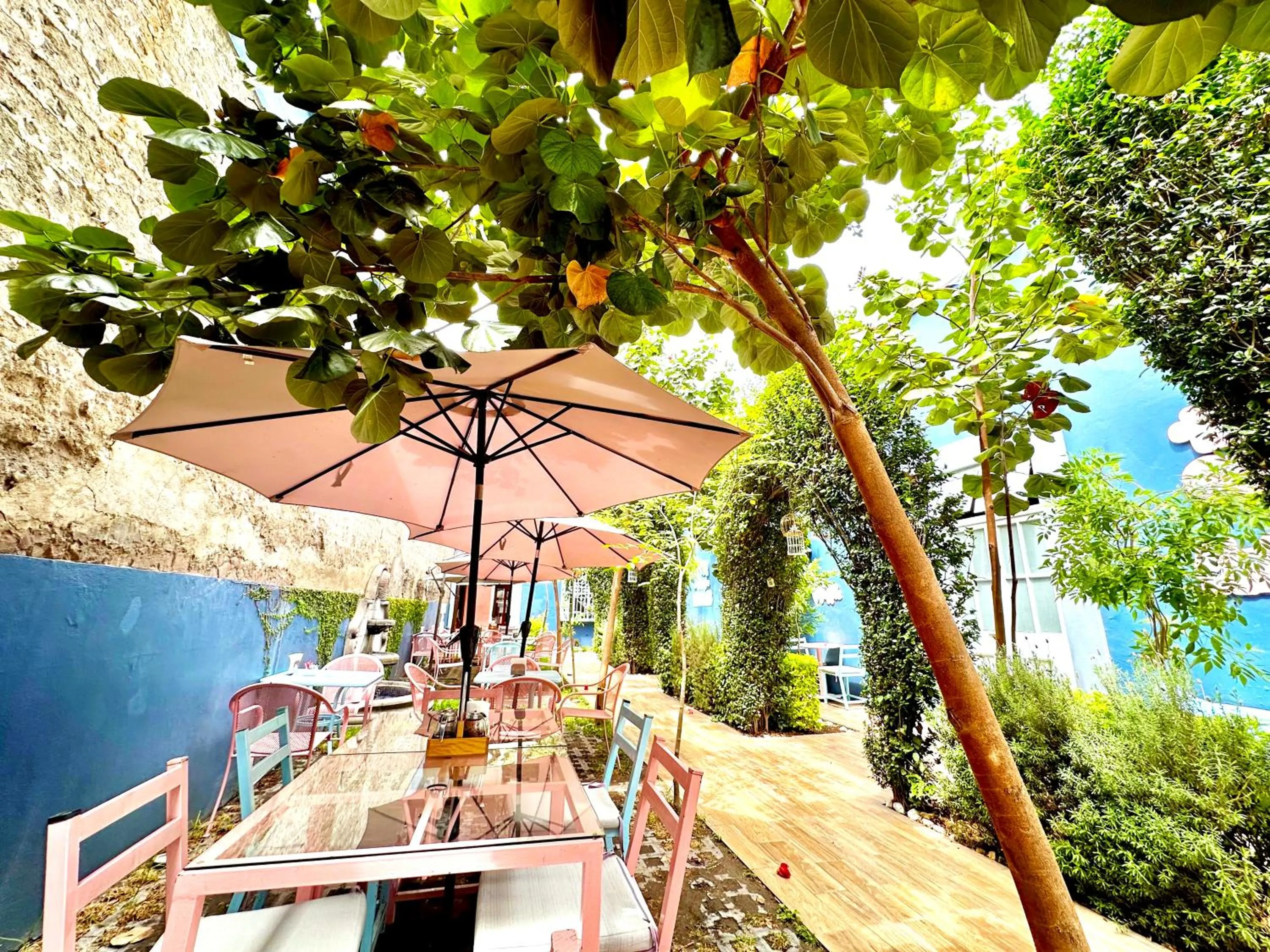 Garden in Xoxula by Inmense