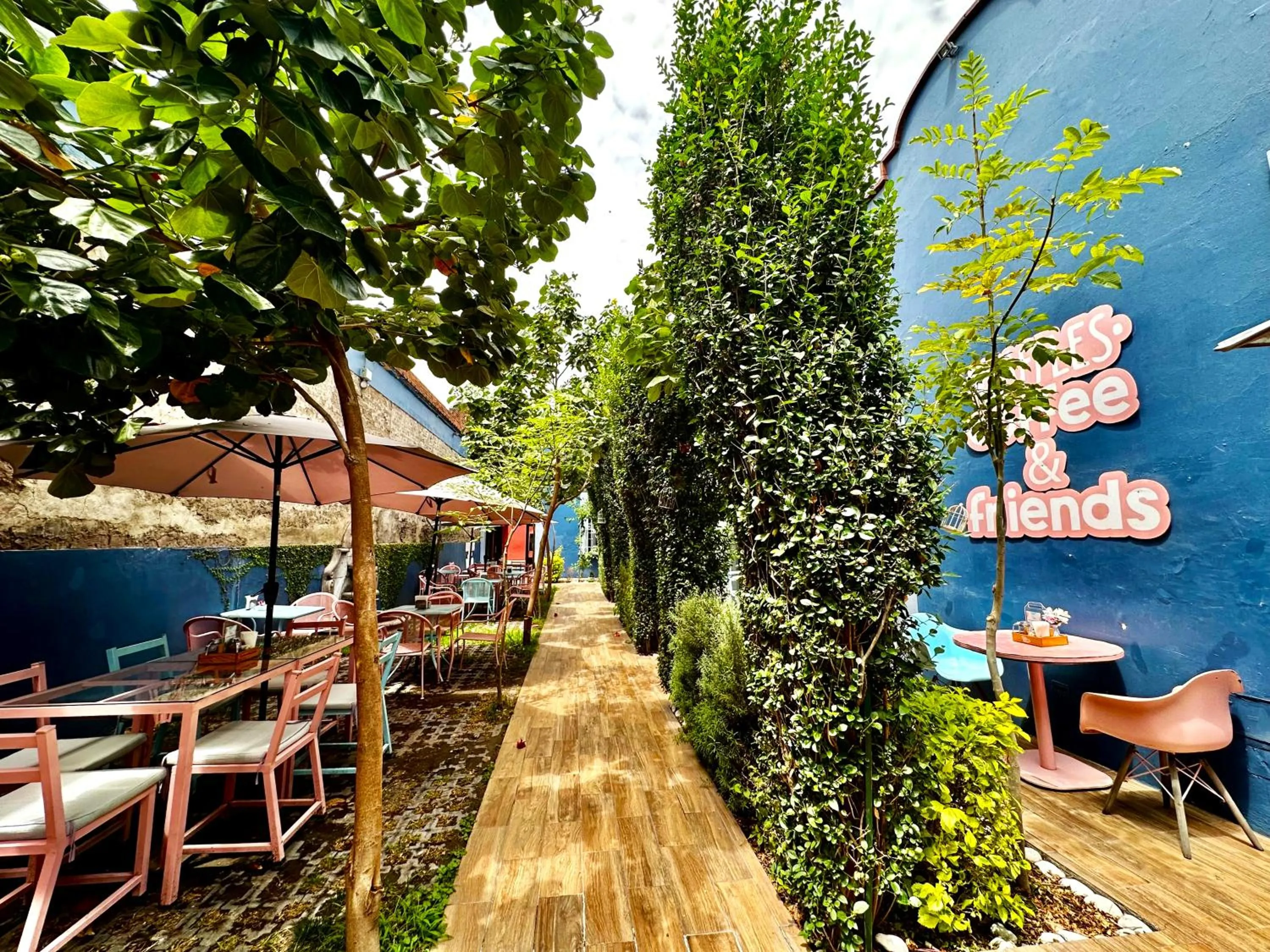 Garden in Xoxula by Inmense