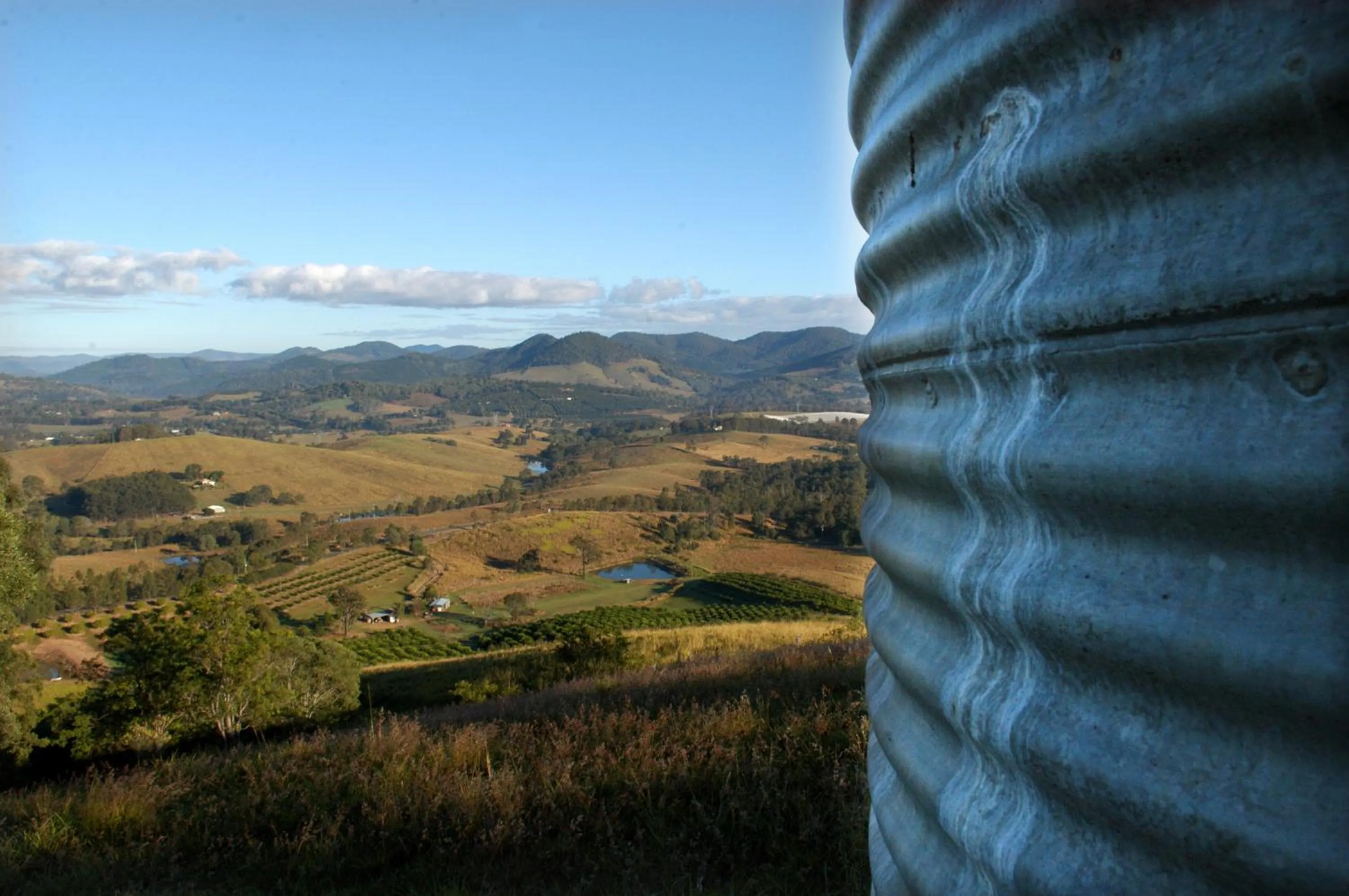 Natural landscape in Amamoor Homestead and Country Cottages