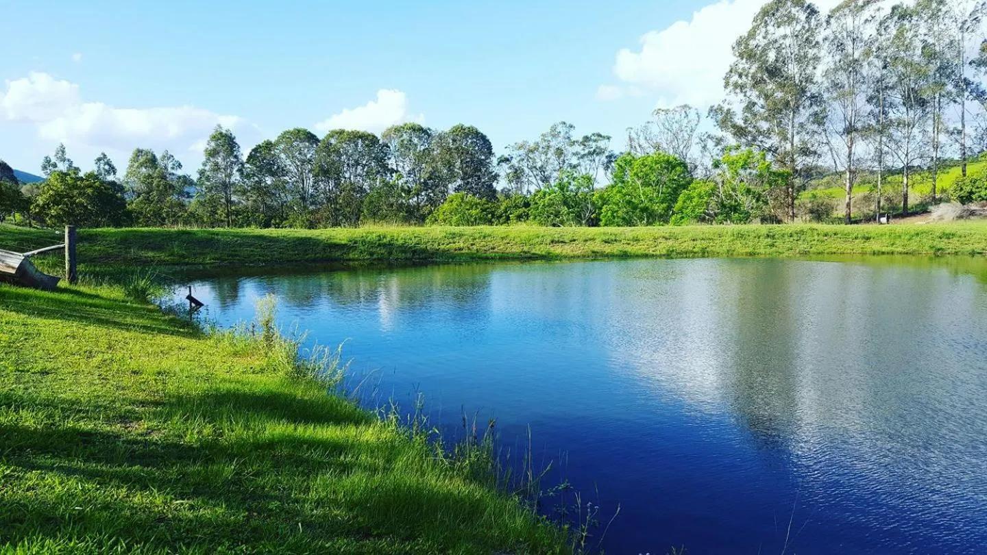 Natural landscape in Amamoor Homestead and Country Cottages