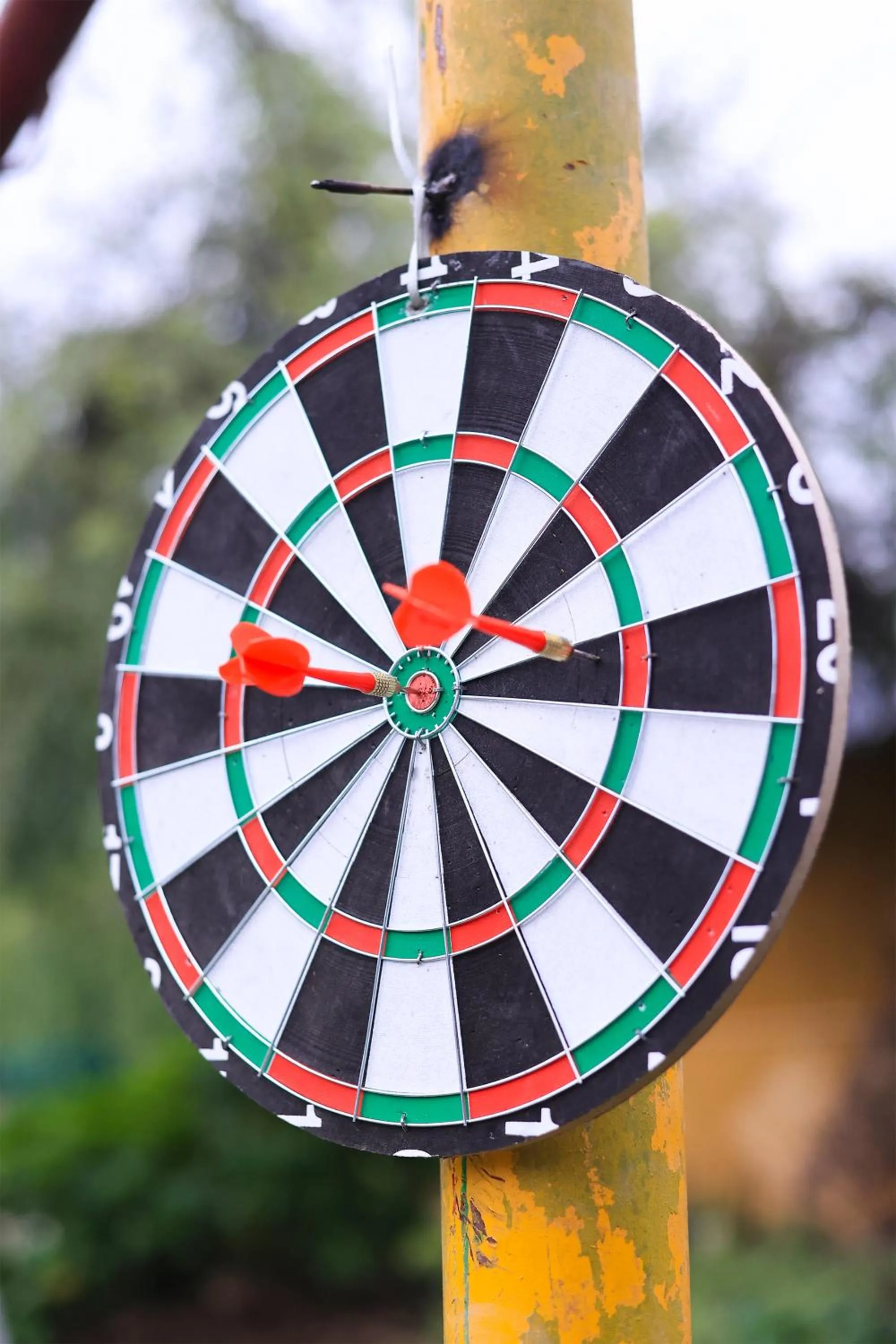 Activities in Foxoso Misty Oaks - Hotel & Resort