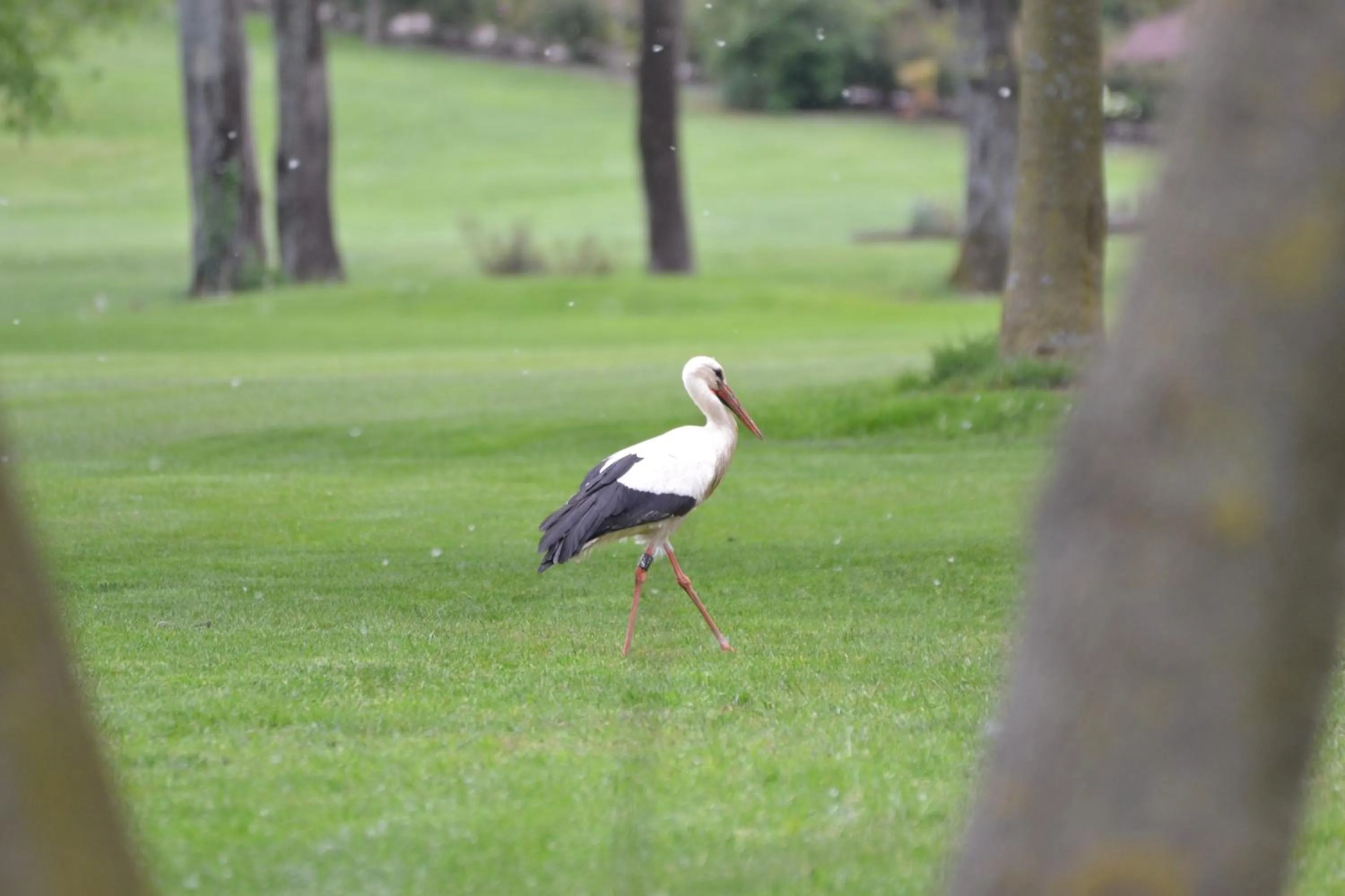 Spring in Villaverde Hotel Spa&Golf Udine