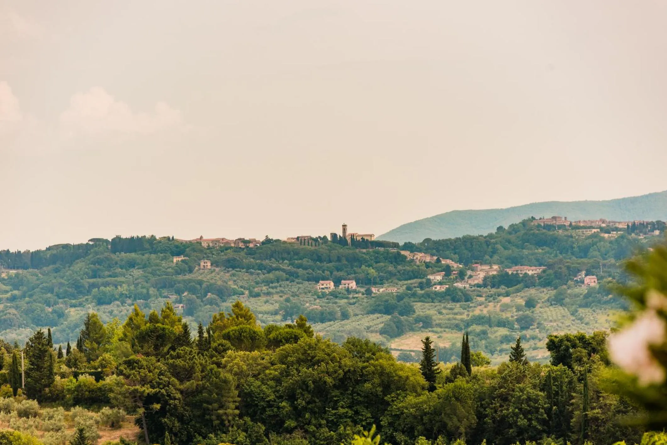 Natural landscape in Borgo Felciaione