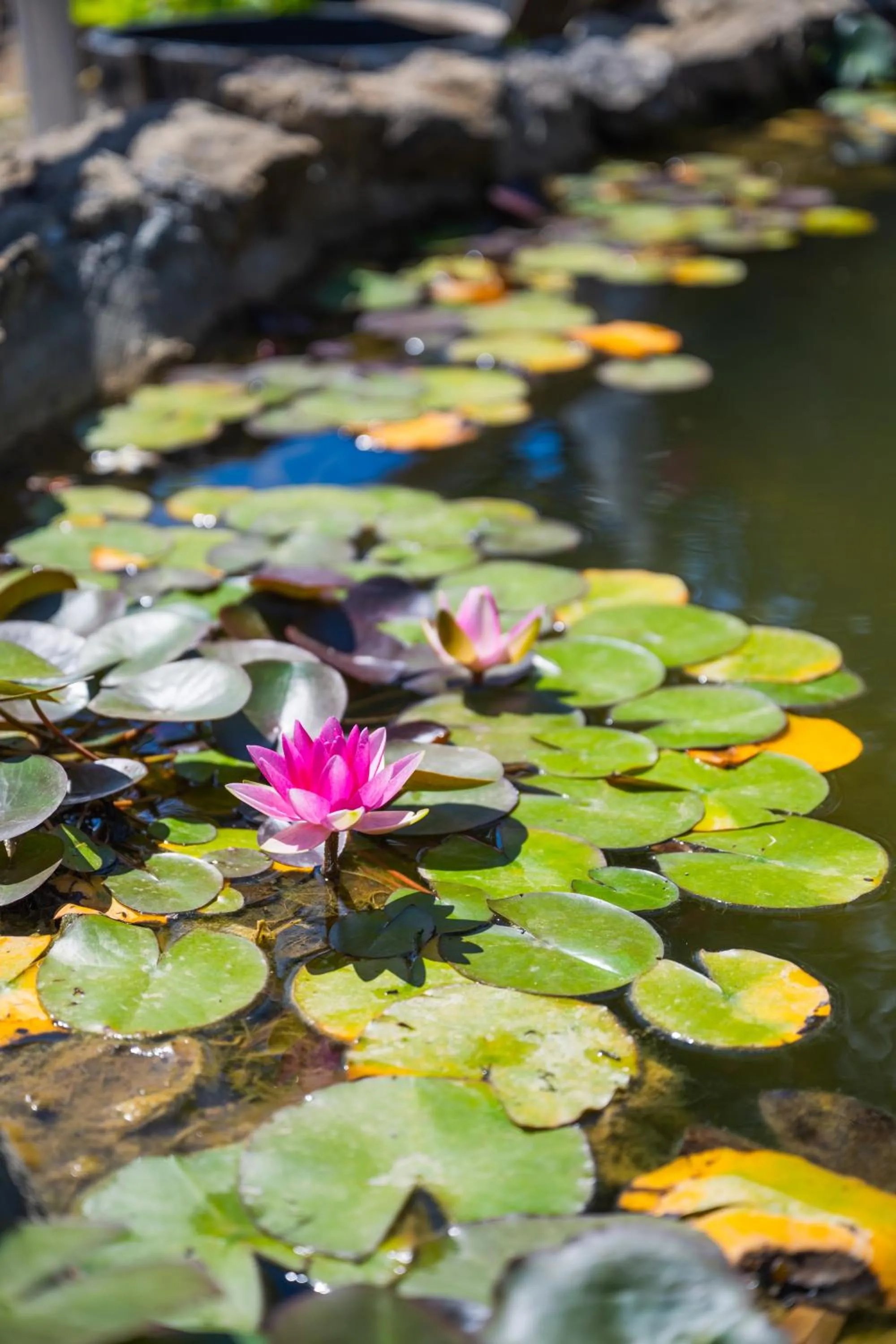 Natural landscape in Borgo Felciaione