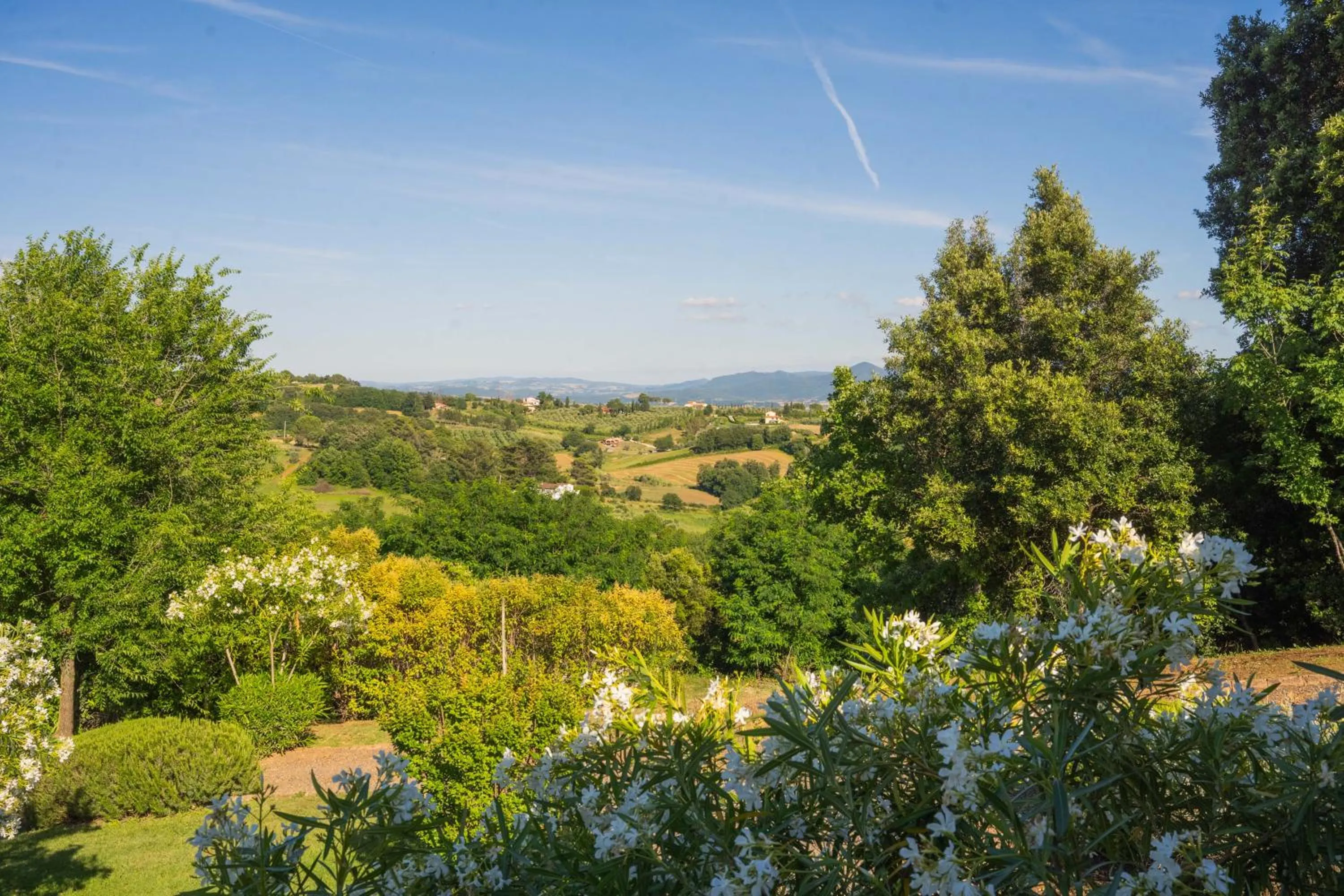 Natural landscape in Borgo Felciaione