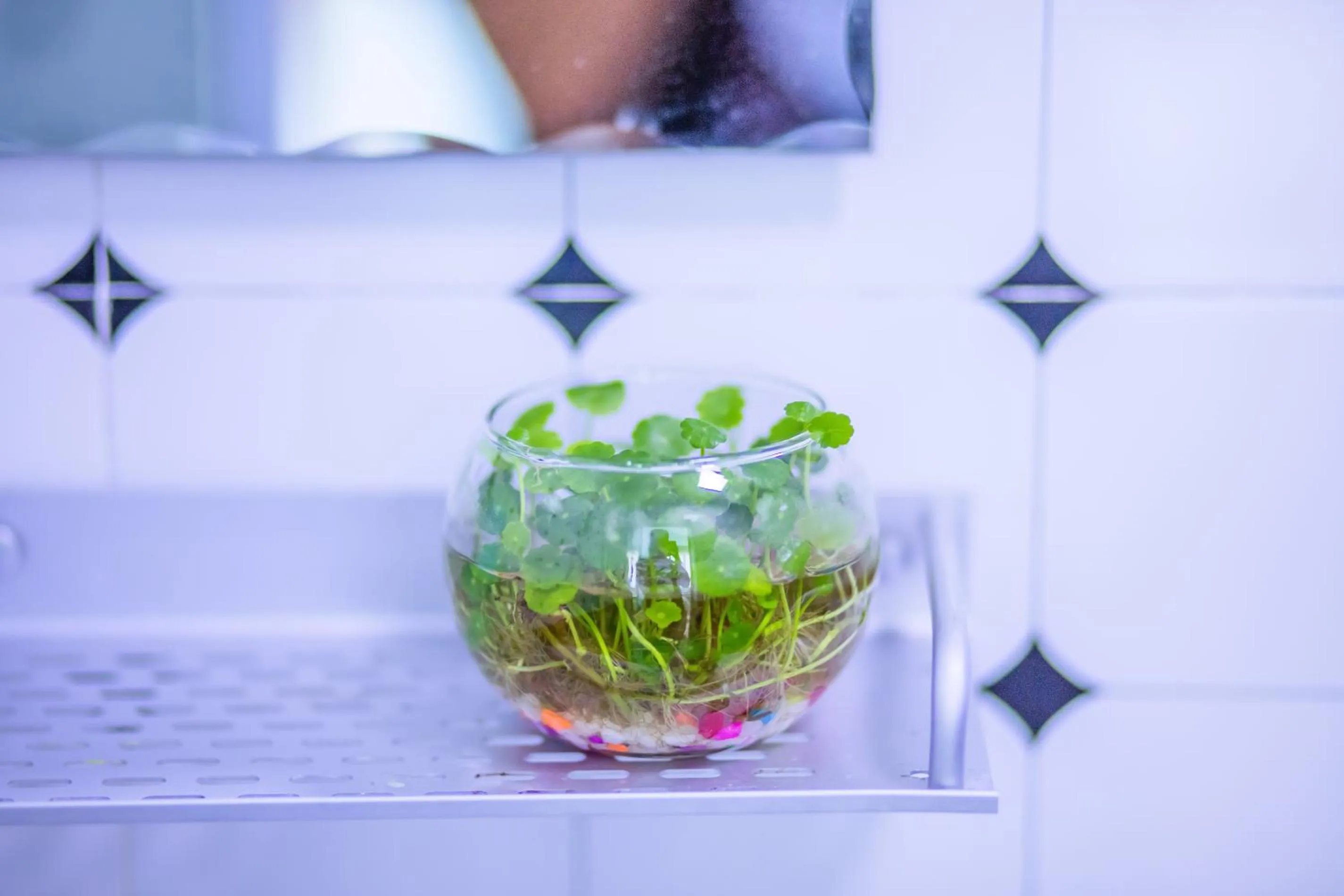 Decorative detail in Murphy Youth Hostel Guilin桂林北站莫非青年旅舍