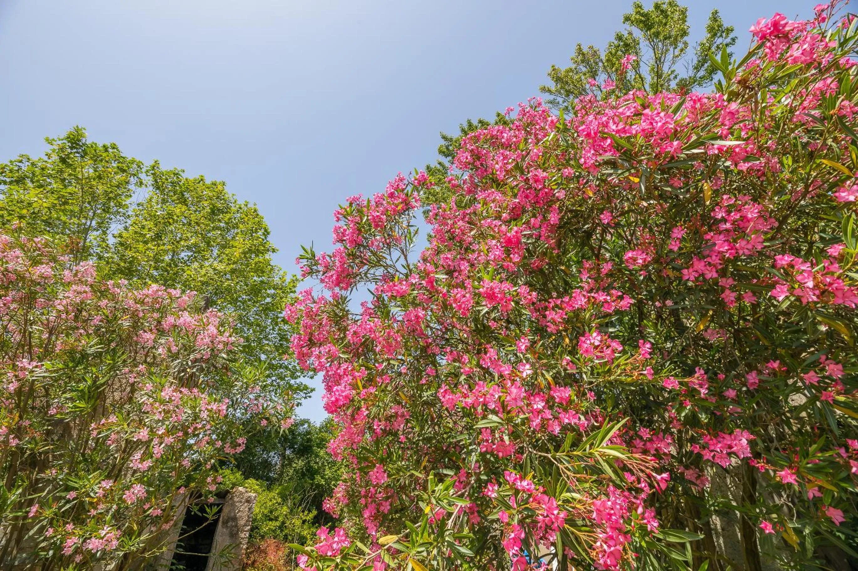 Natural landscape in Appart'Hôtel Bellevue