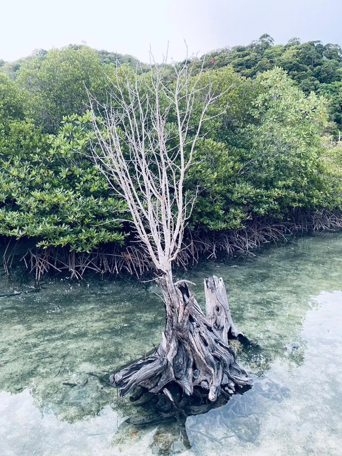 Location in The Hip Resort @ Phi Phi