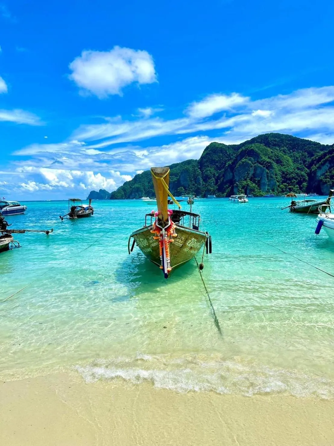 Natural landscape in The Hip Resort @ Phi Phi