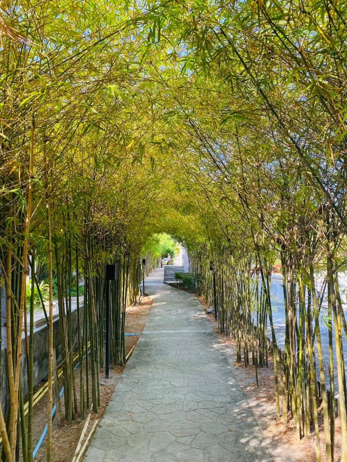 The Hip Resort @ Phi Phi