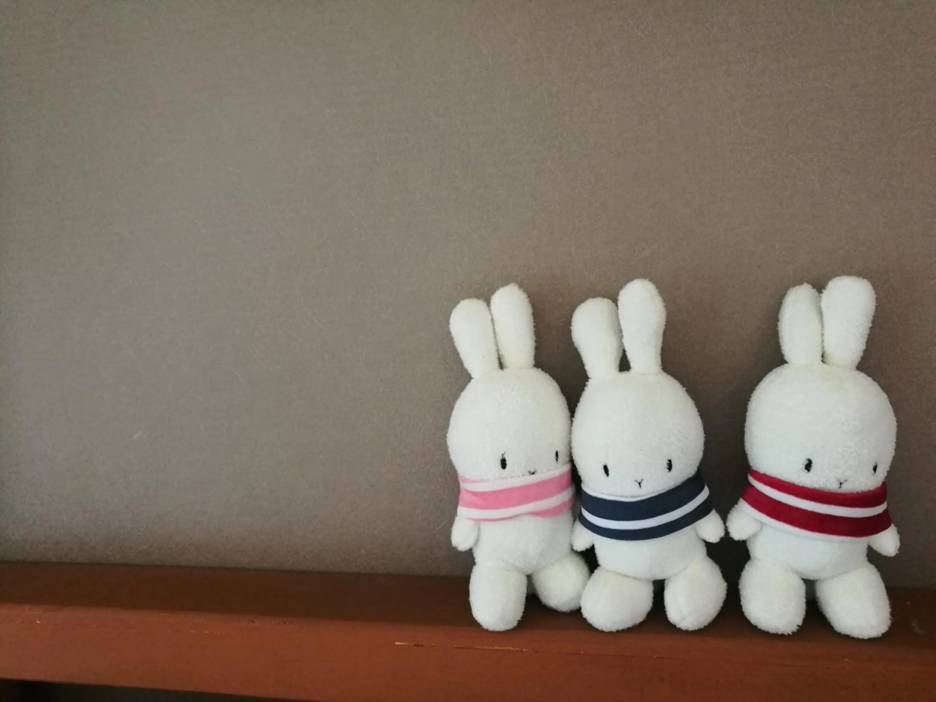 Photo of the whole room in NT House