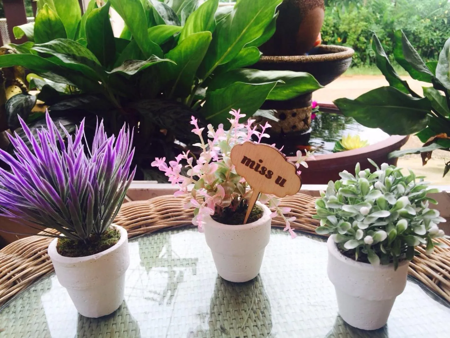 Property building in NT House