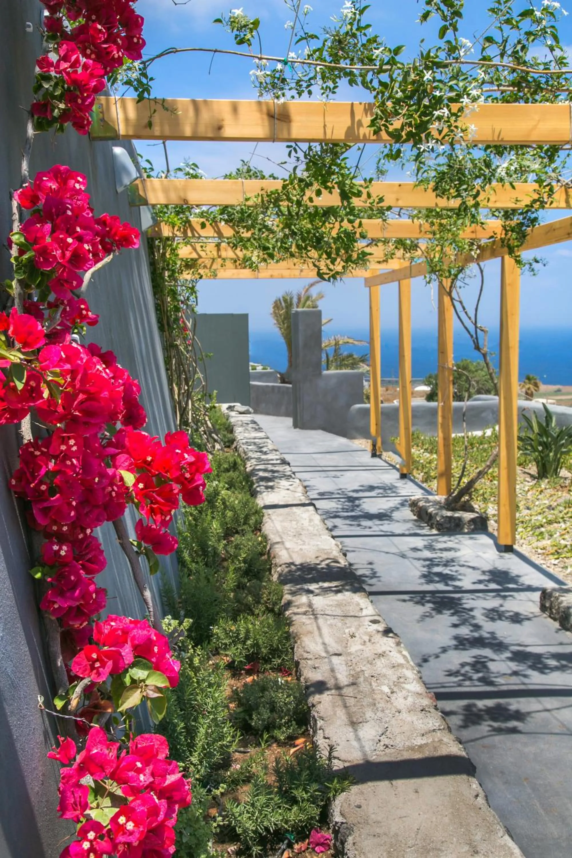 Garden in Santorini Villas