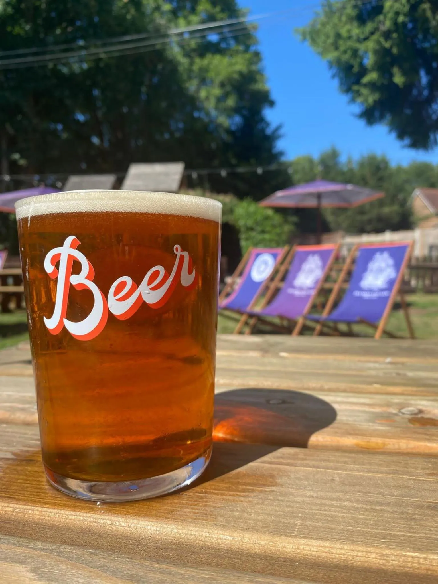 Garden in Hursley Rooms - The Dolphin