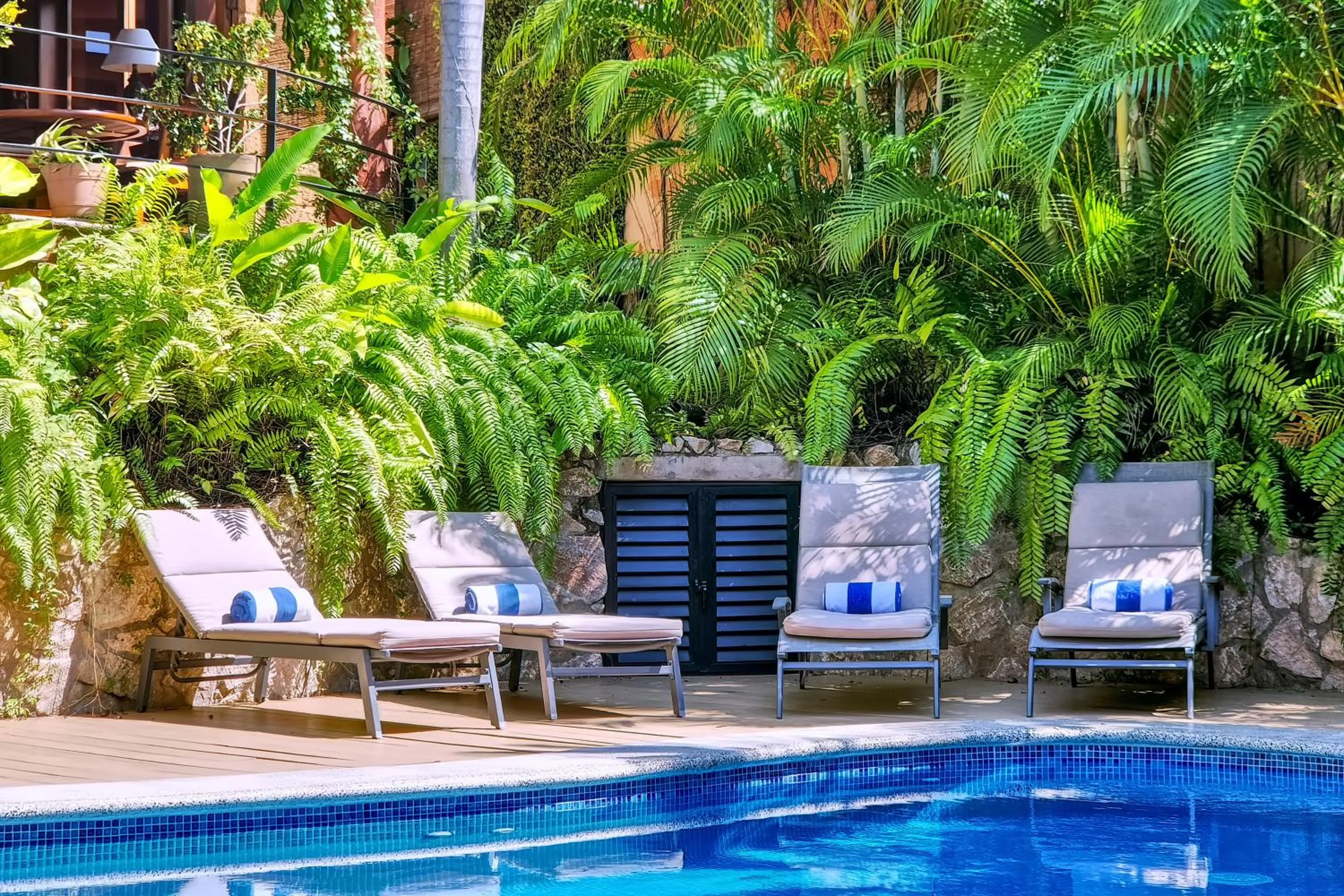 Garden in Hotel Casa San Pancho