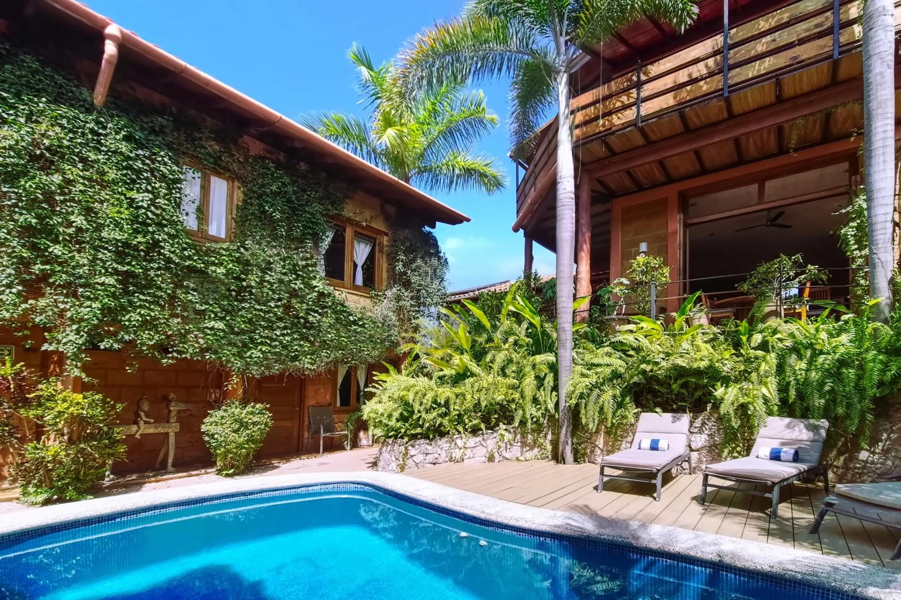 Garden in Hotel Casa San Pancho