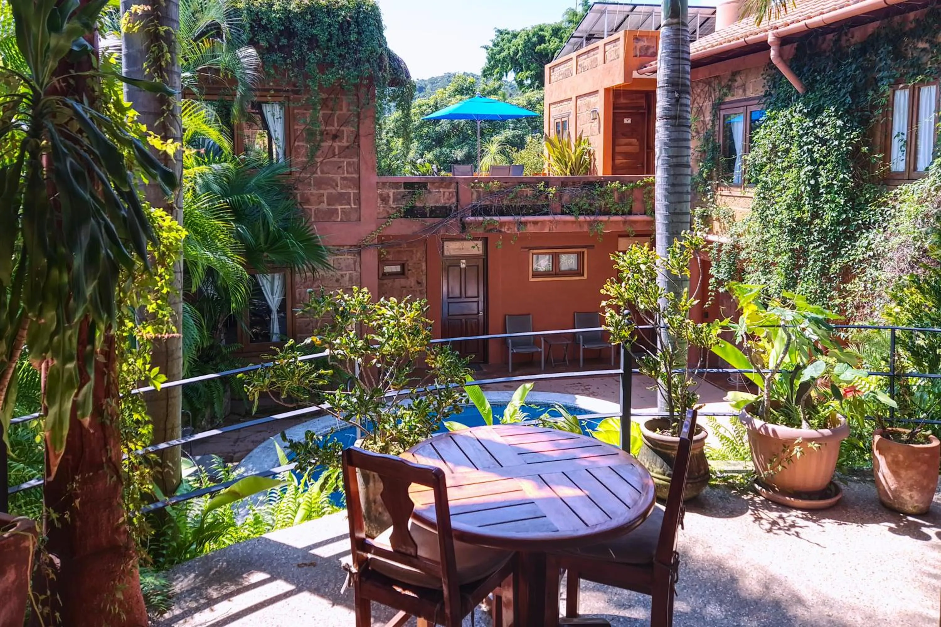 Garden in Hotel Casa San Pancho