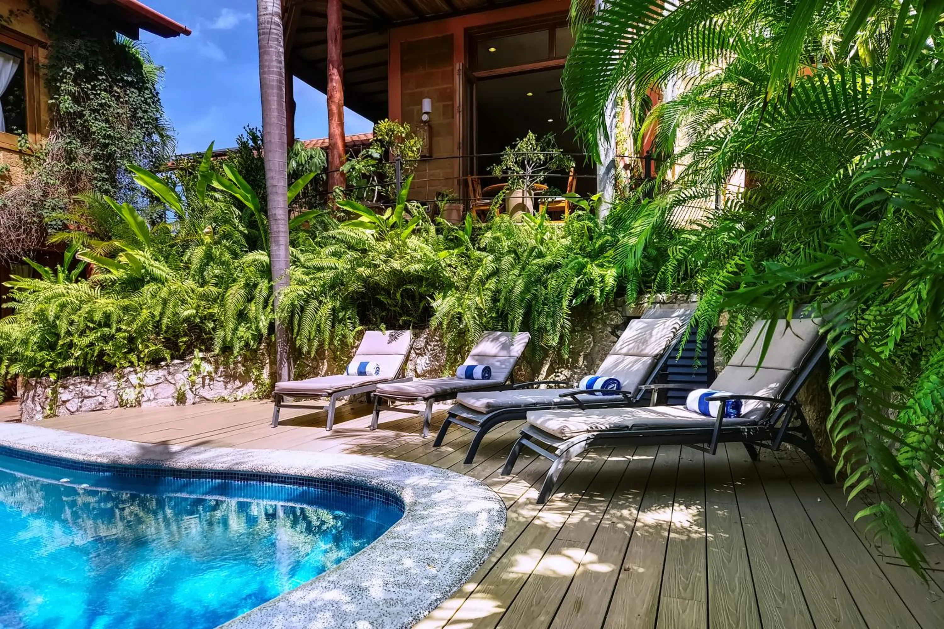 Garden in Hotel Casa San Pancho