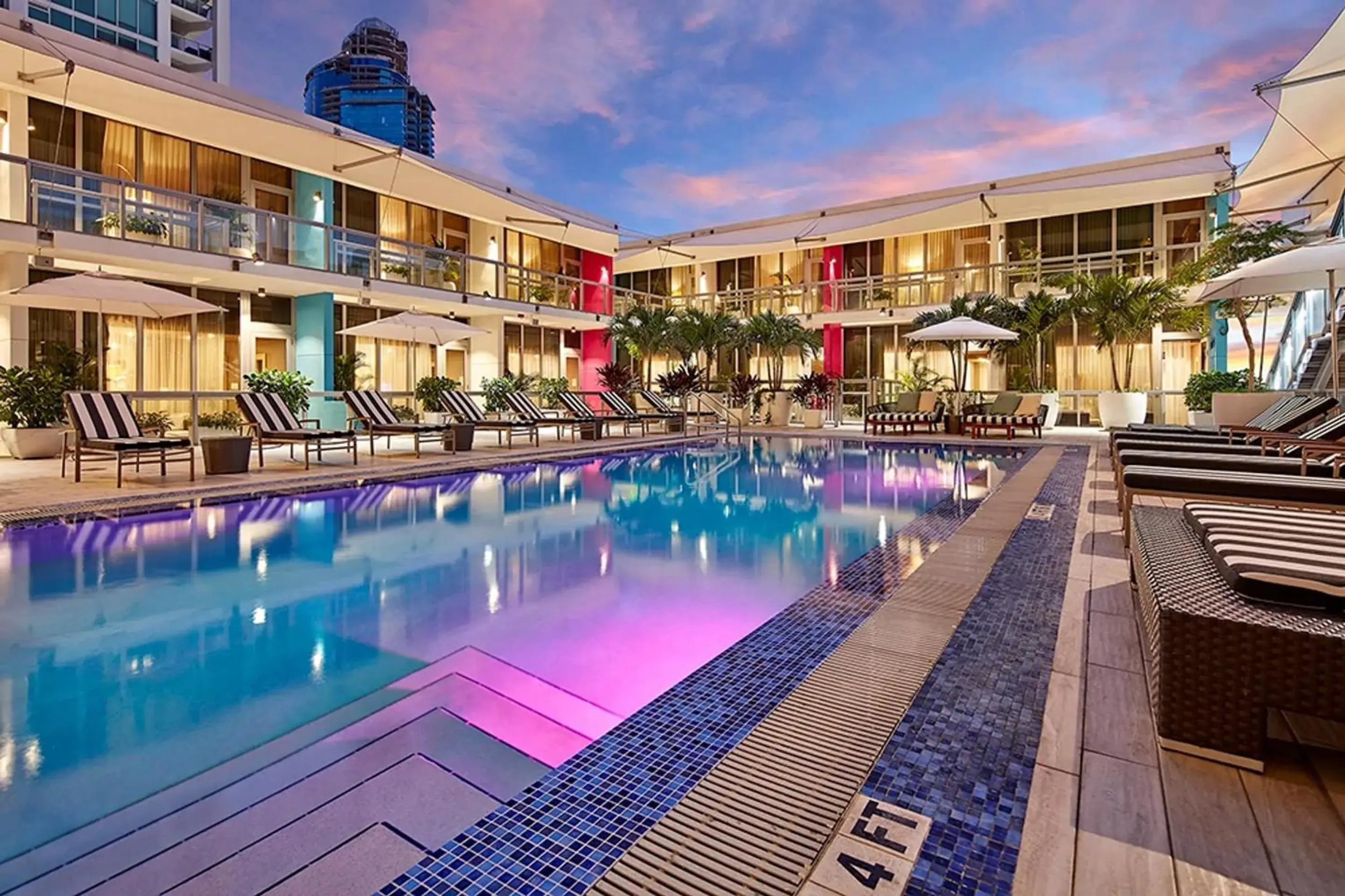 Swimming pool in The Grayson Hotel Miami Downtown Swimming pool in The Grayson Hotel Miami Downtown