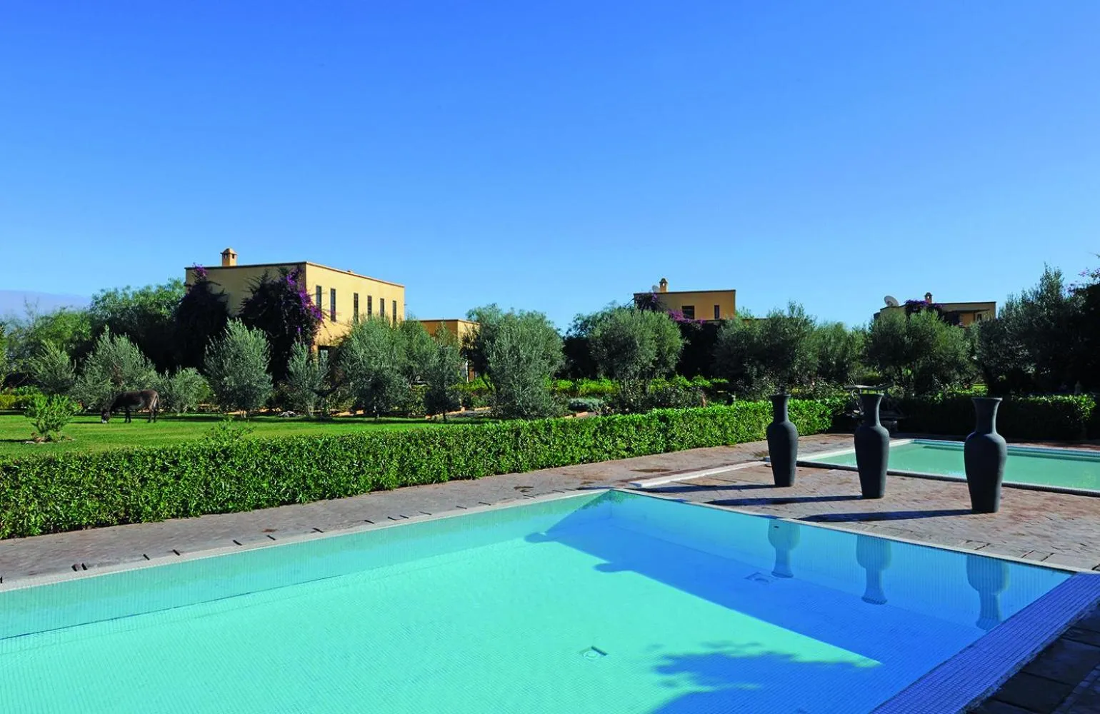 Swimming pool in Fawakay Villas