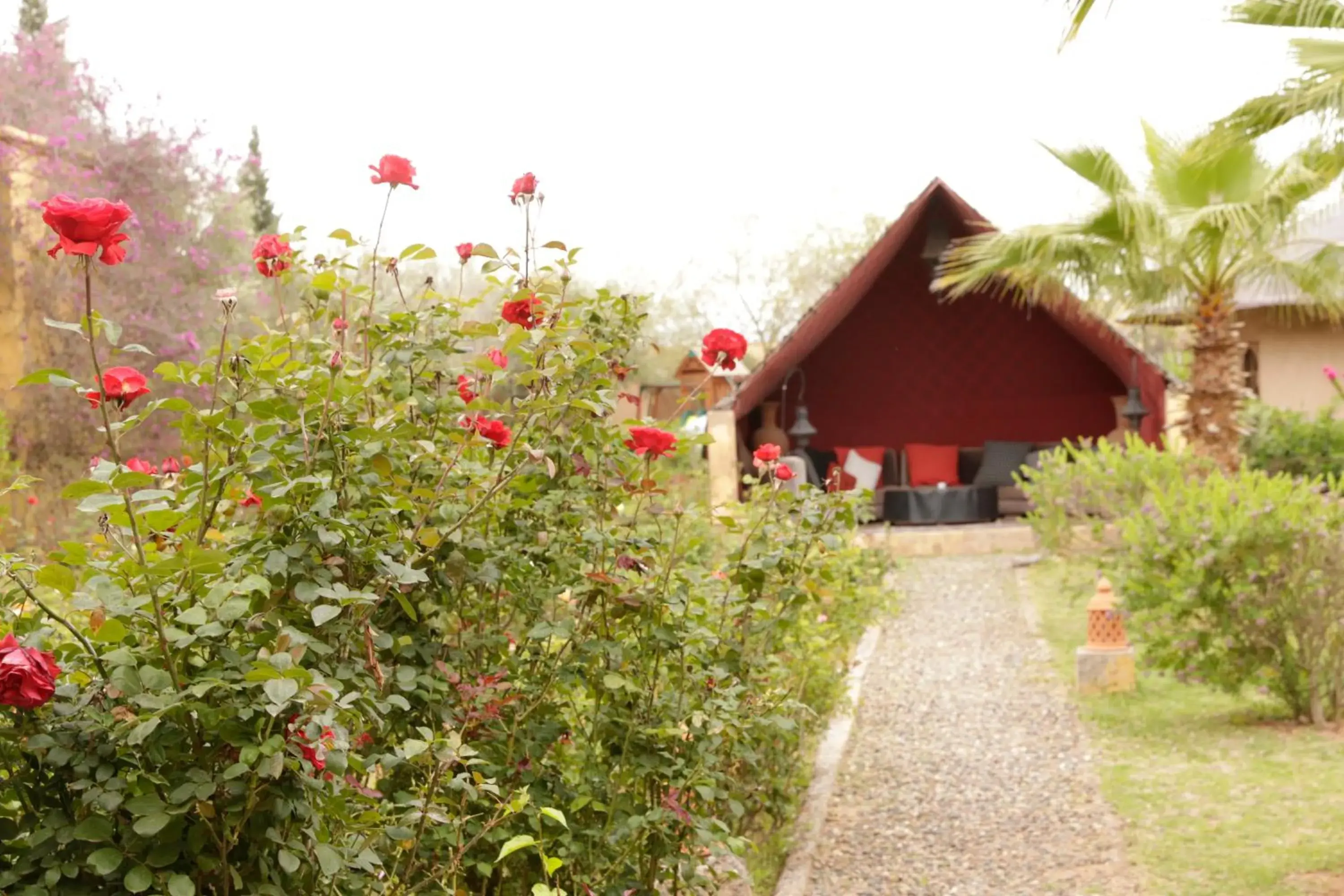 Three-Bedroom Villa in Fawakay Villas Three-Bedroom Villa in Fawakay Villas