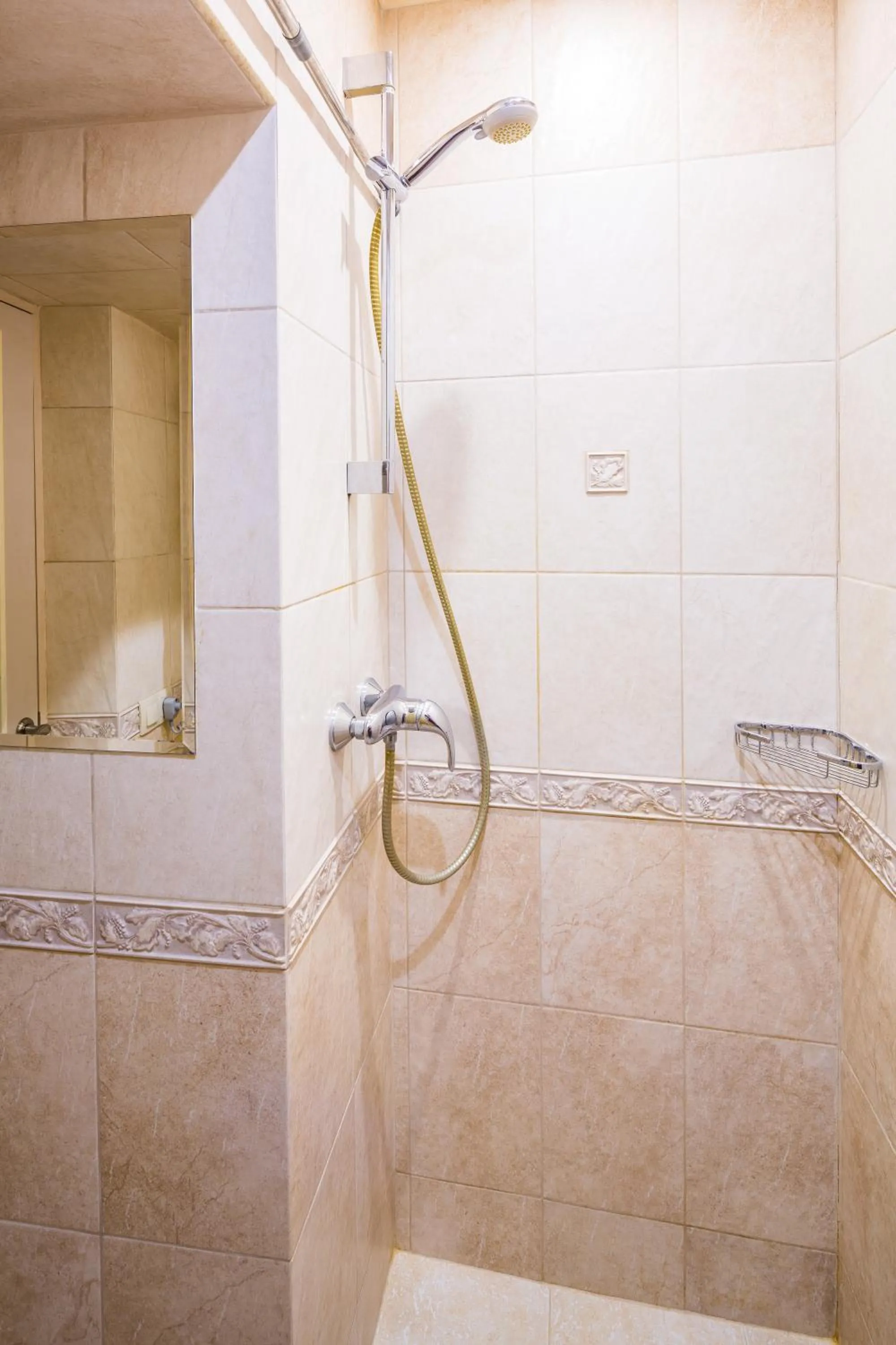 Shower in Apartment Krakivska 15