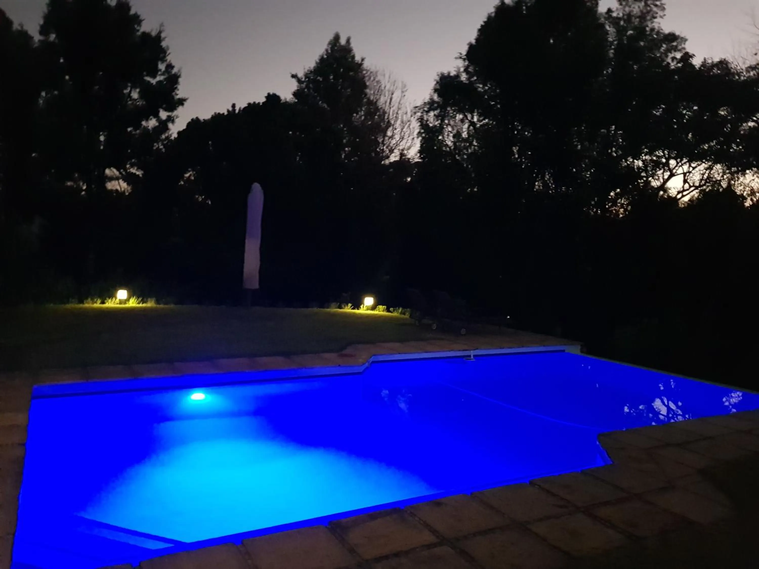 Swimming pool in Pumula Lodge 4 Star Guesthouse Knysna