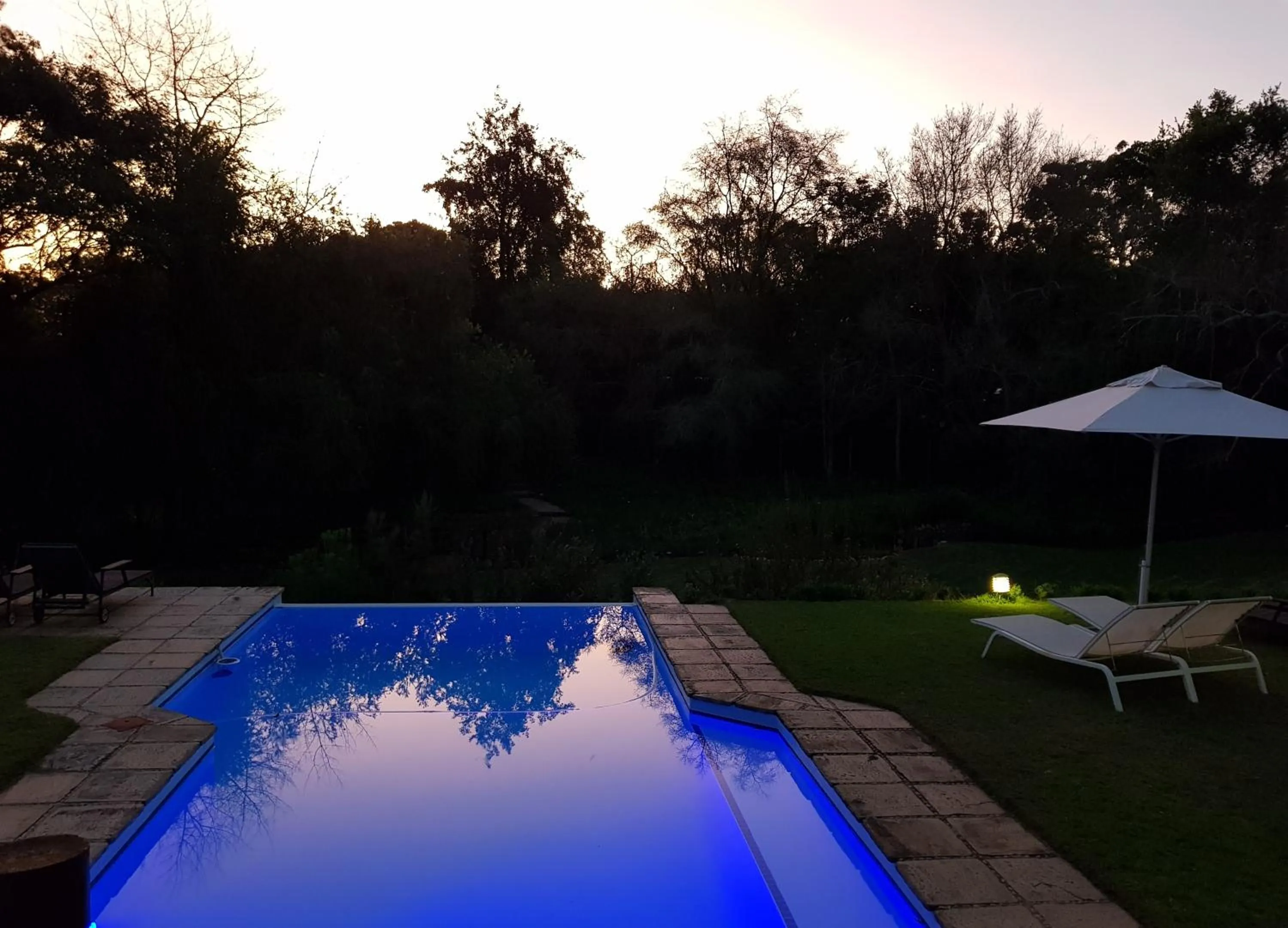 Garden view in Pumula Lodge 4 Star Guesthouse Knysna