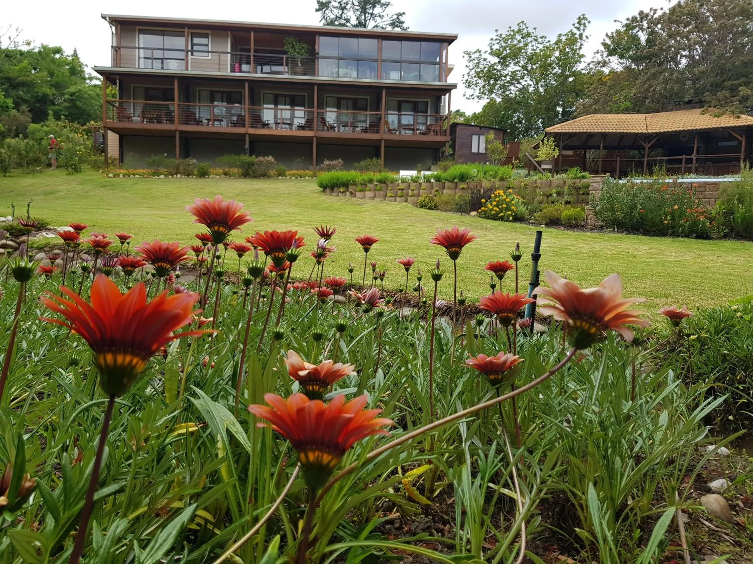 Garden in Pumula Lodge 4 Star Guesthouse Knysna