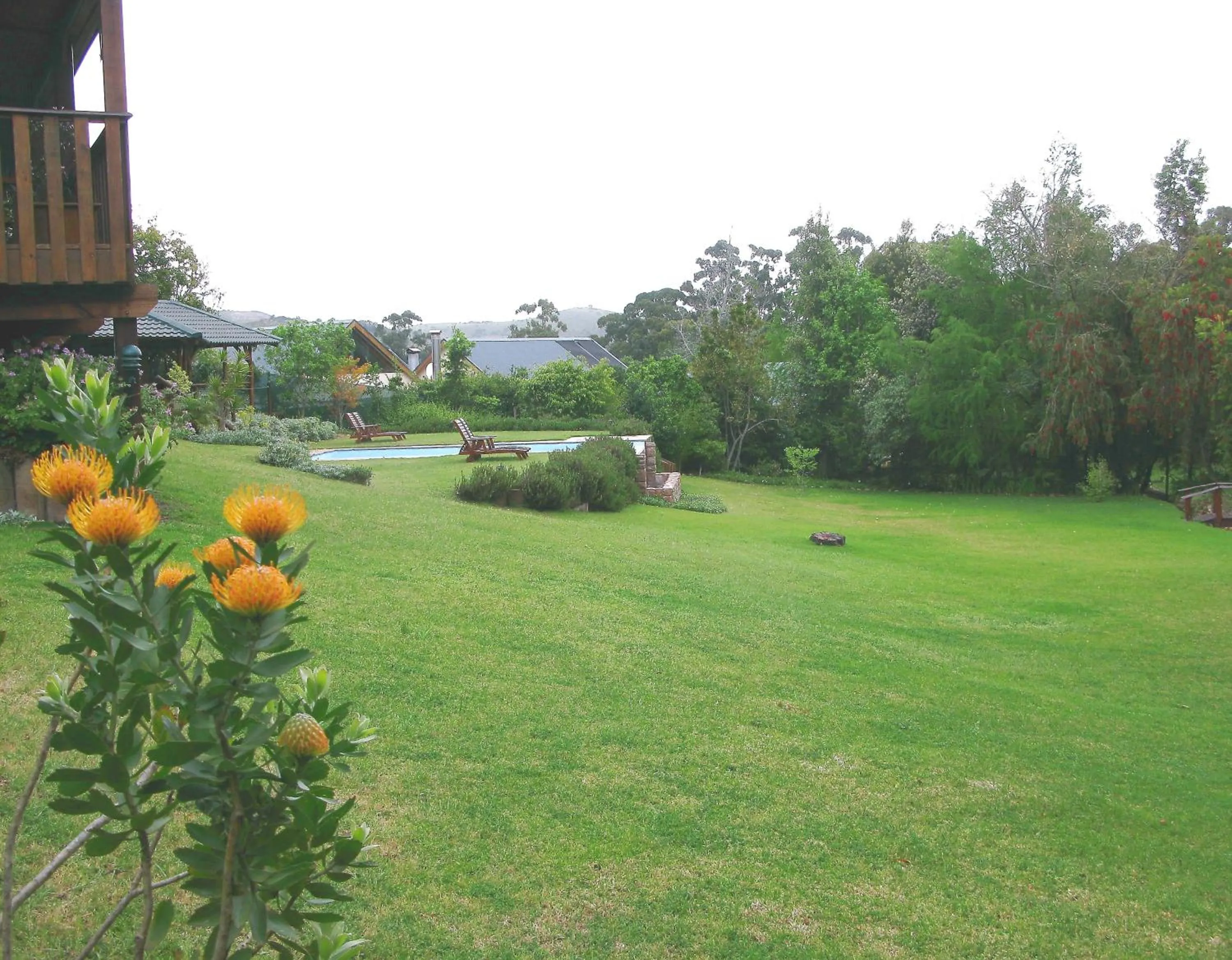 Garden in Pumula Lodge 4 Star Guesthouse Knysna