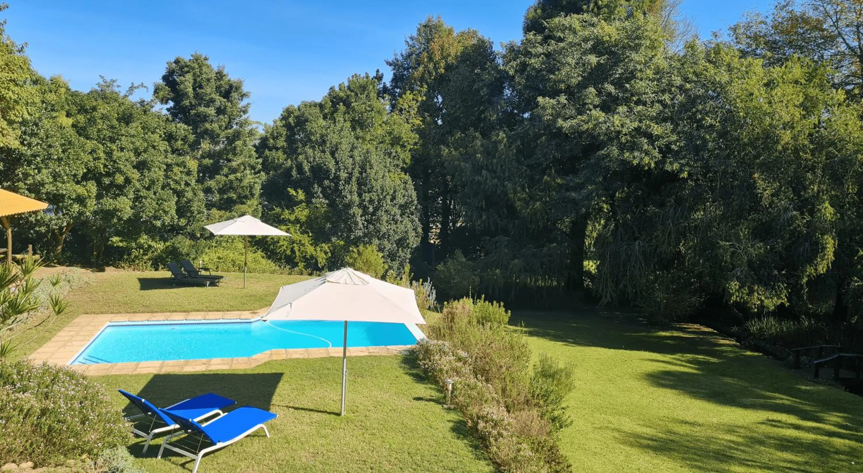 Spring in Pumula Lodge 4 Star Guesthouse Knysna