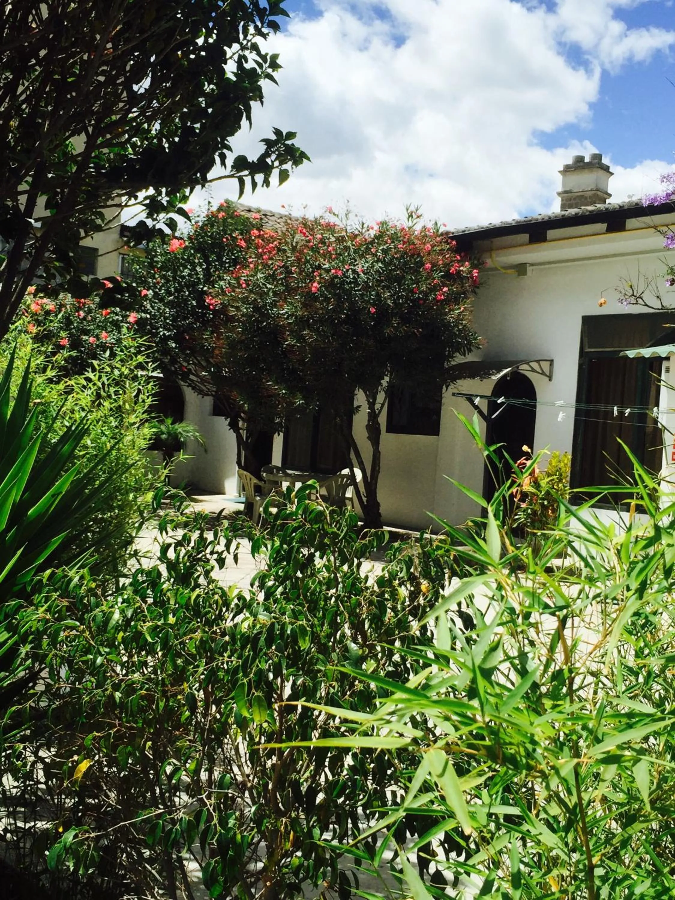 Property building in La Coupole Hotel