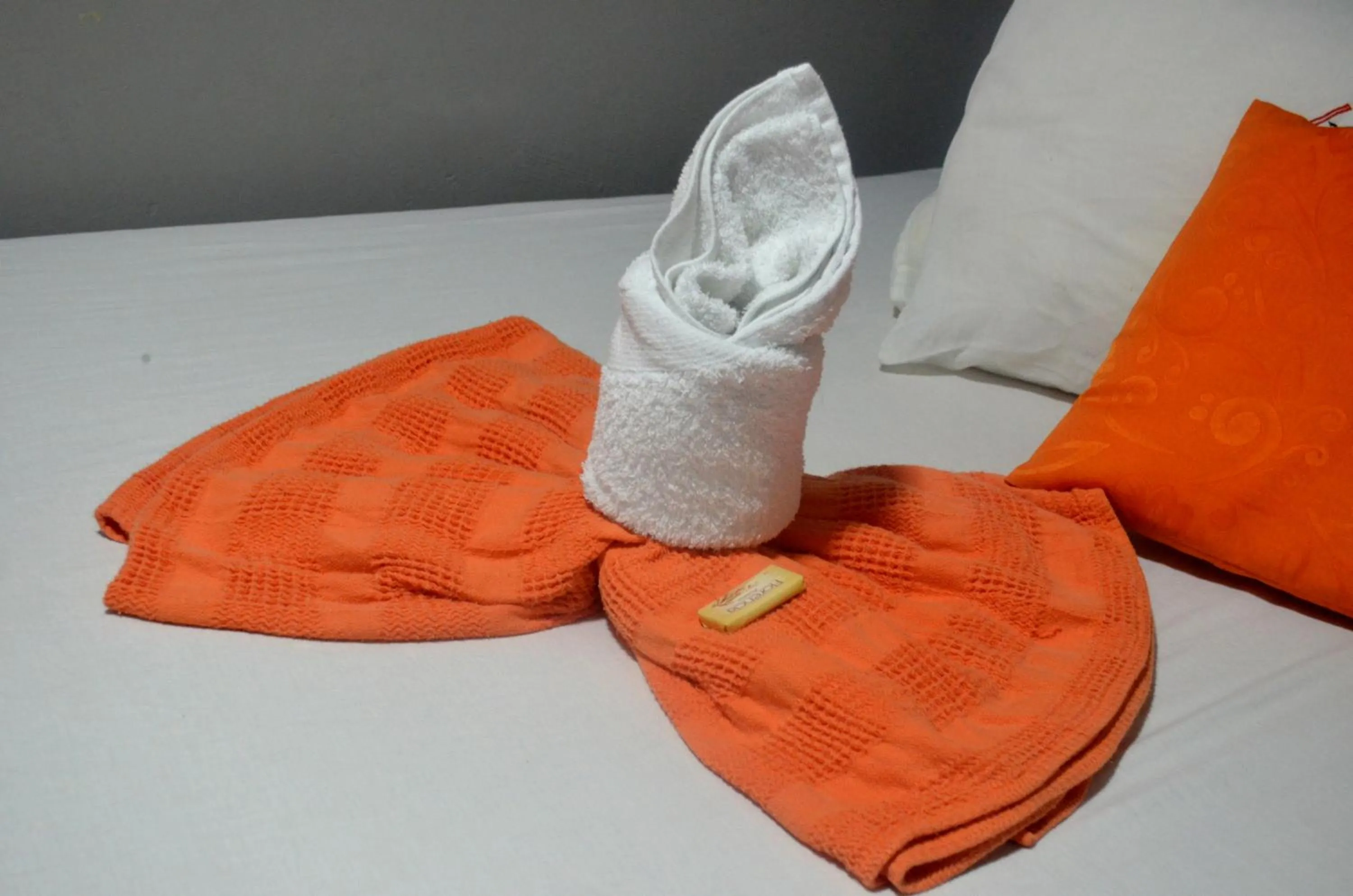 Decorative detail in Hotel San Marcos Barranquilla