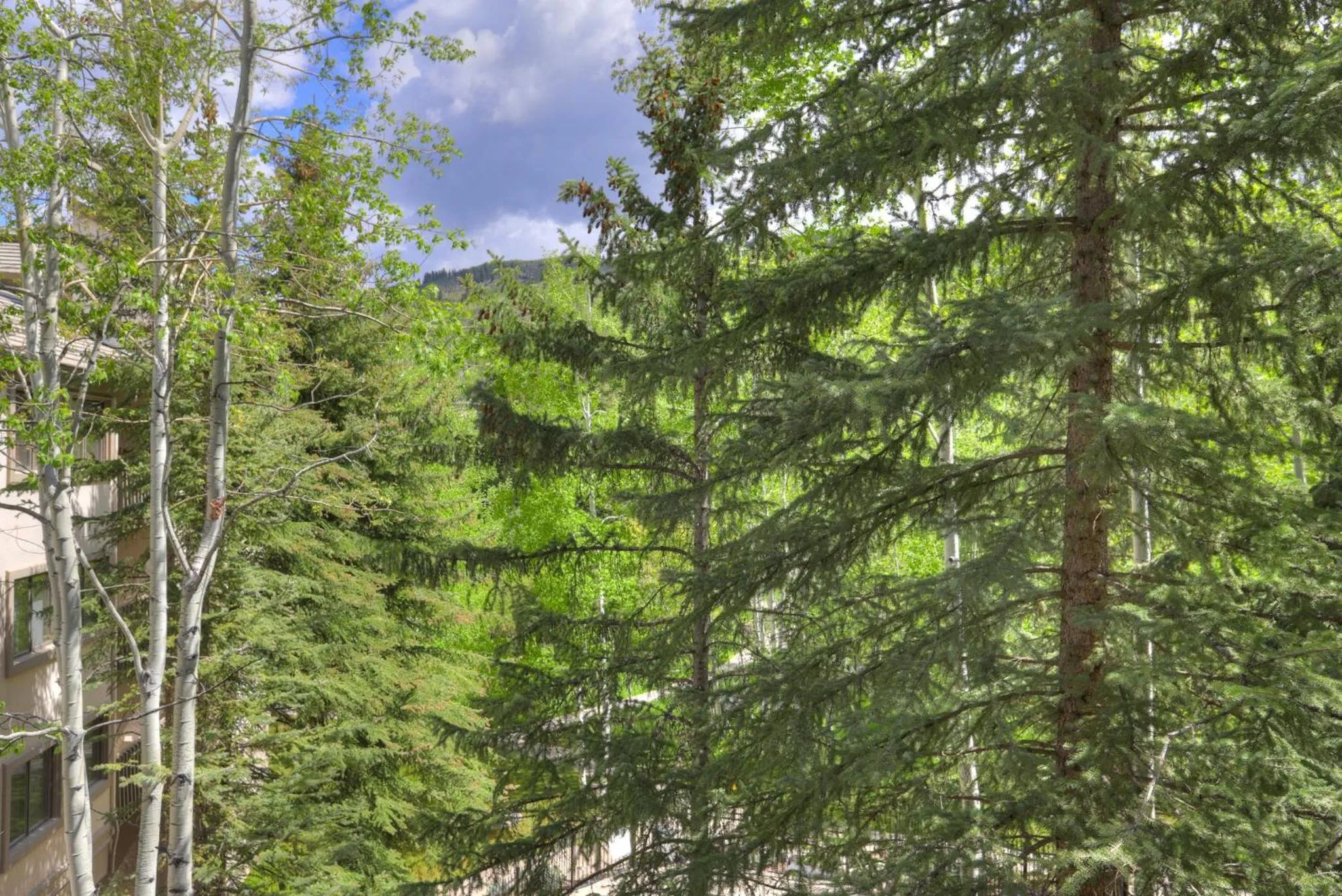Property building in Townsend Place, A Vail Resorts Property