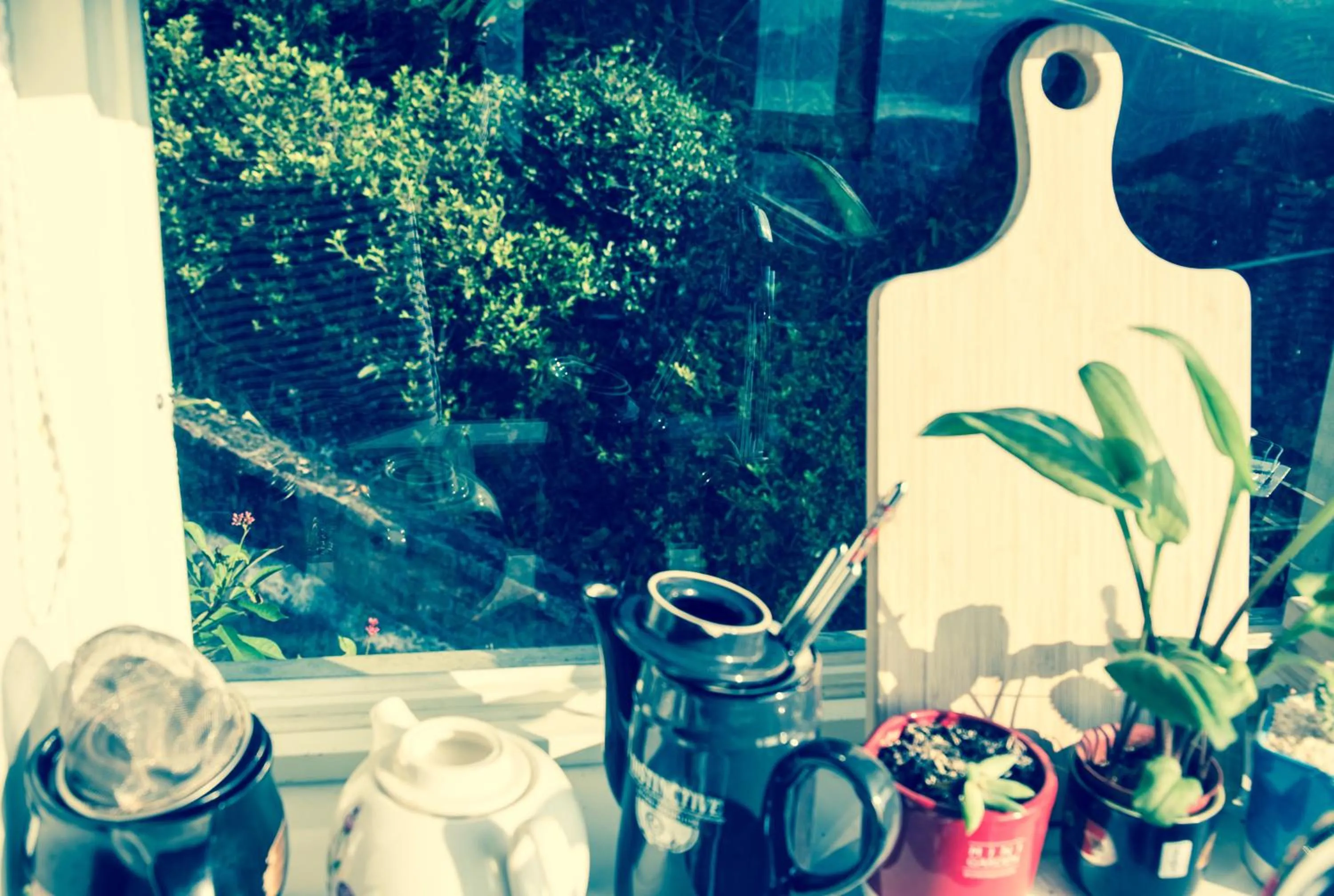 Garden in Something Easy Inn