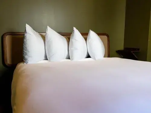 Single Room - single occupancy - Disability Access in Hotel Alexander Single Room - single occupancy - Disability Access in Hotel Alexander