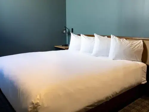 Deluxe Single Room - single occupancy in Hotel Alexander Deluxe Single Room - single occupancy in Hotel Alexander