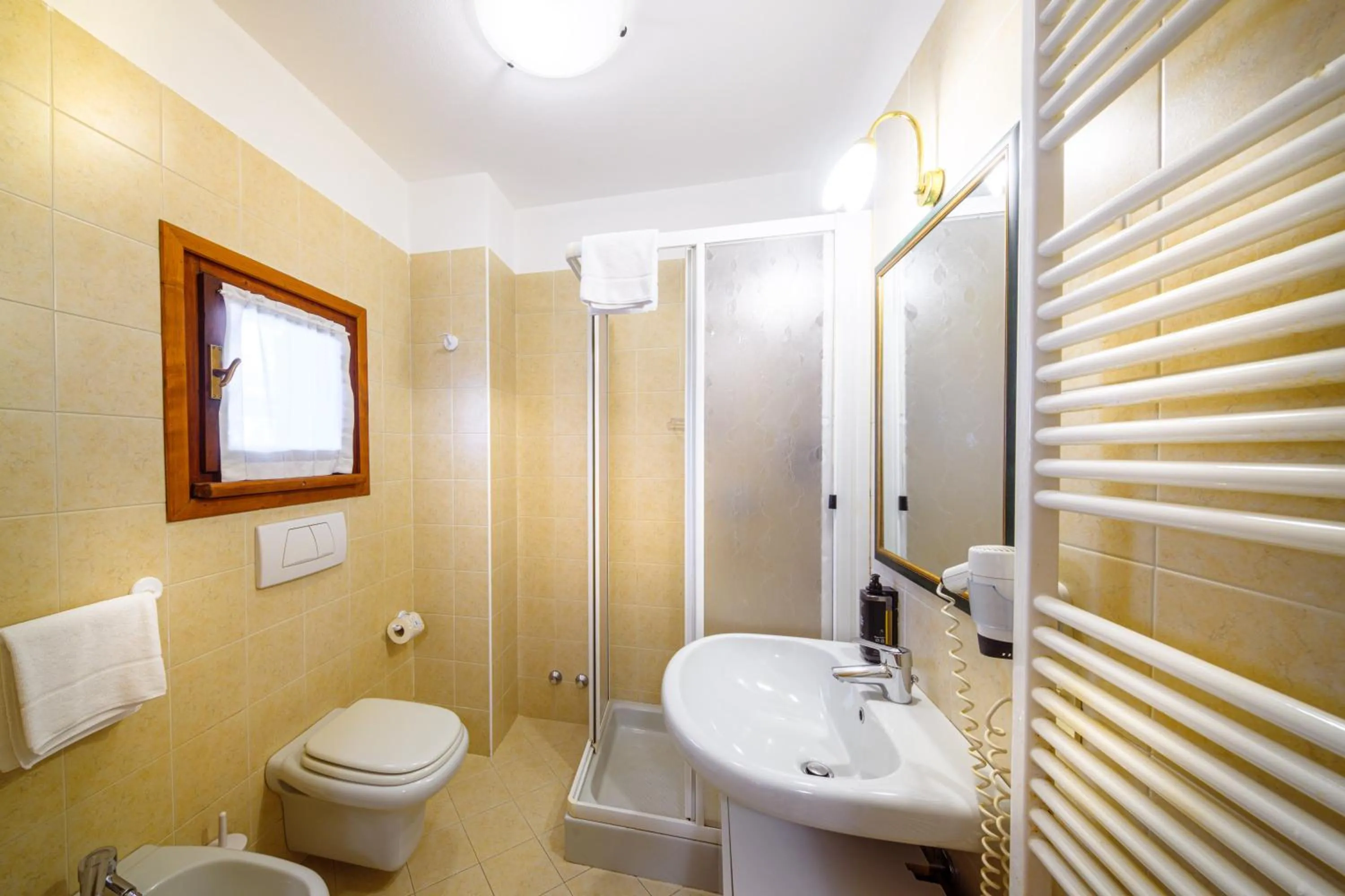 Shower in Hotel Ambassador Bormio